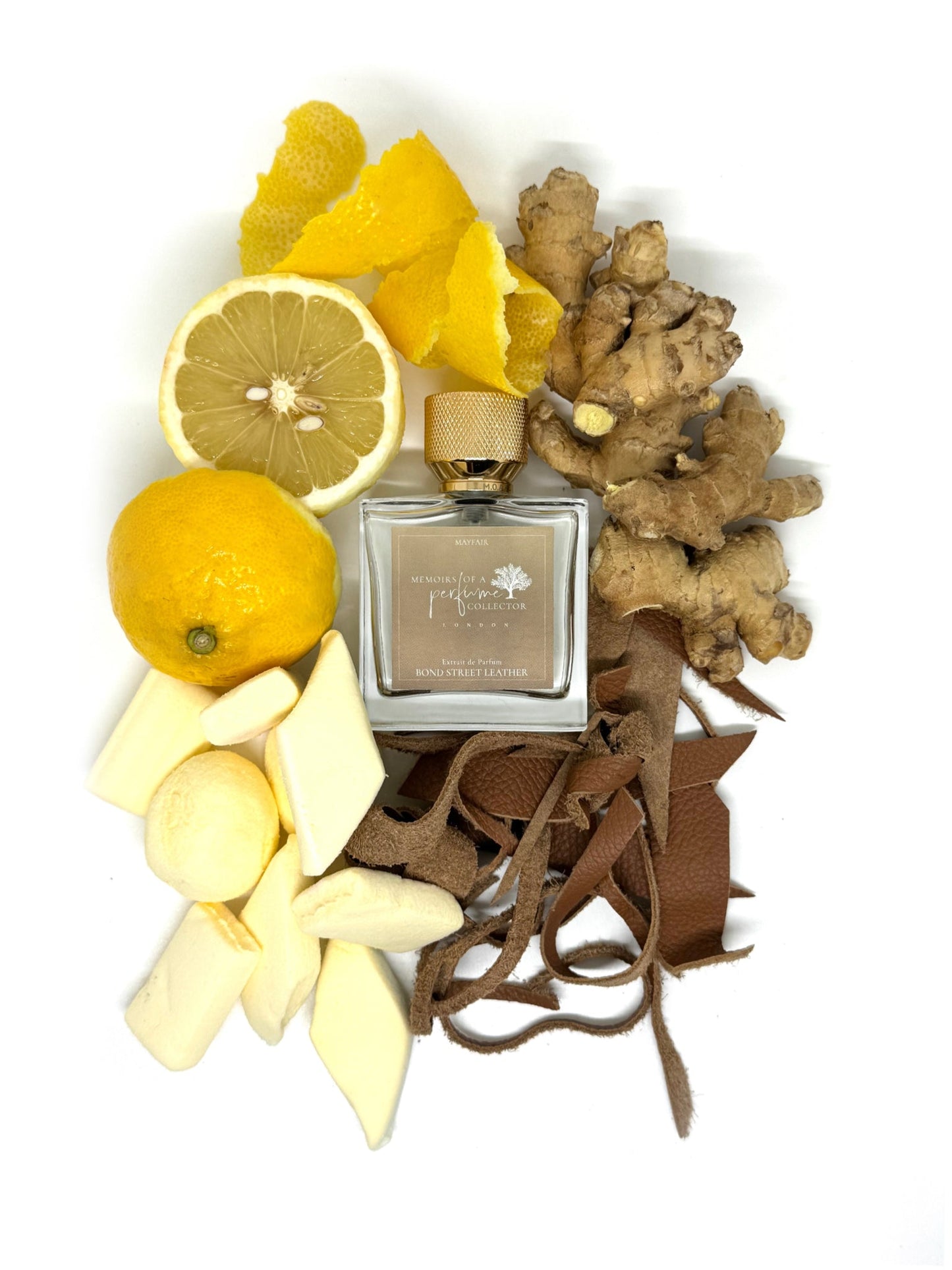 Memoirs of A Perfume Collector - Bond Street Leather - Nose and Notes