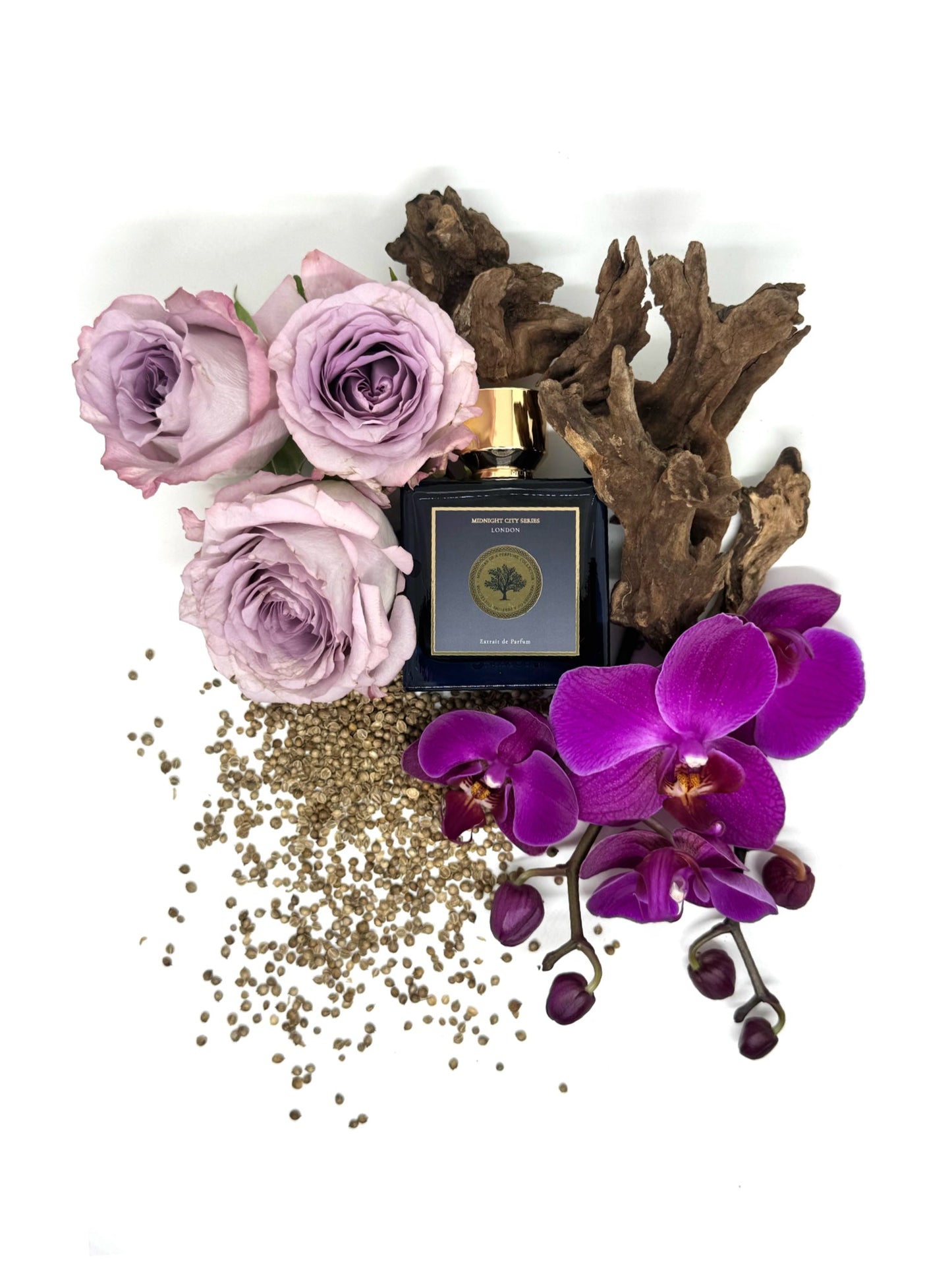 Memoirs of A Perfume Collector London - Midnight City Series - Nose and Notes