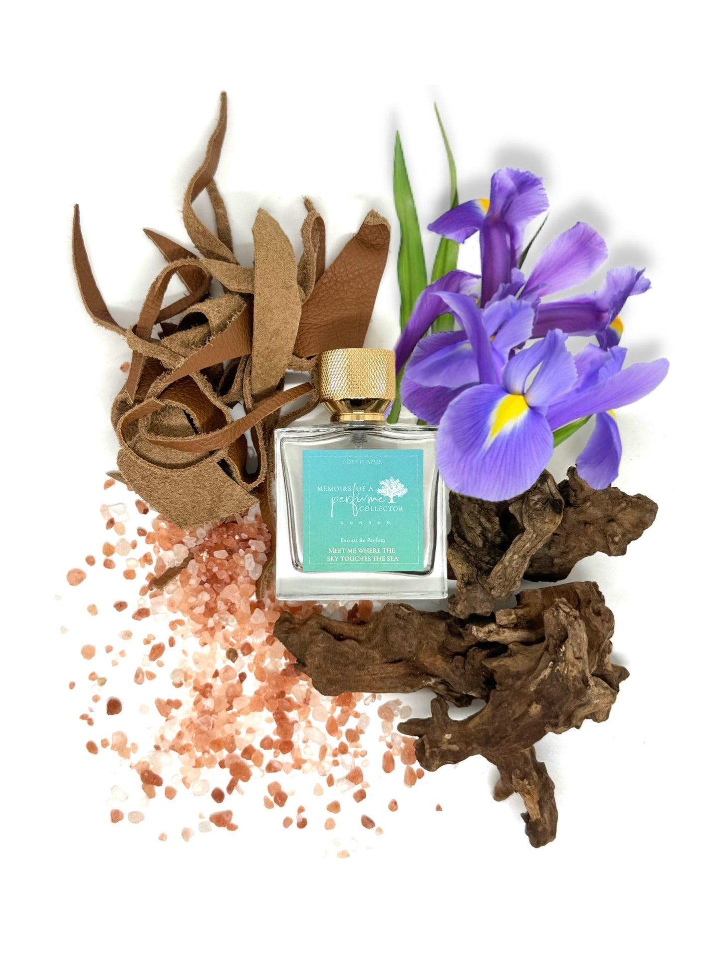 Memoirs of A Perfume Collector - Meet Me Where The Sky Touches The Sea - Nose and Notes