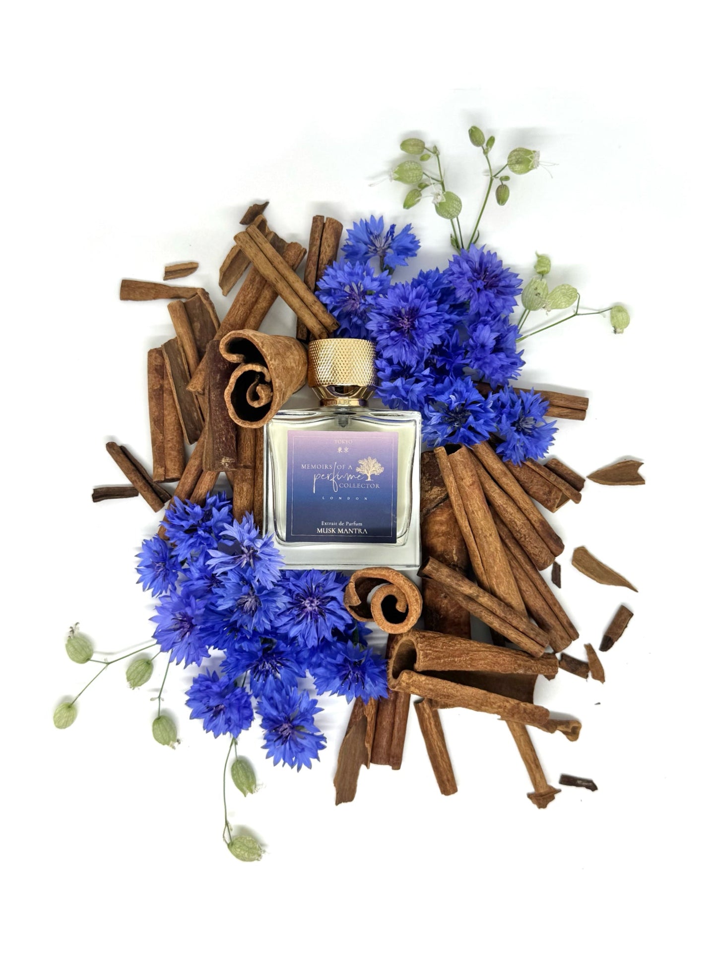 Memoirs of A Perfume Collector - Musk Mantra - Nose and Notes