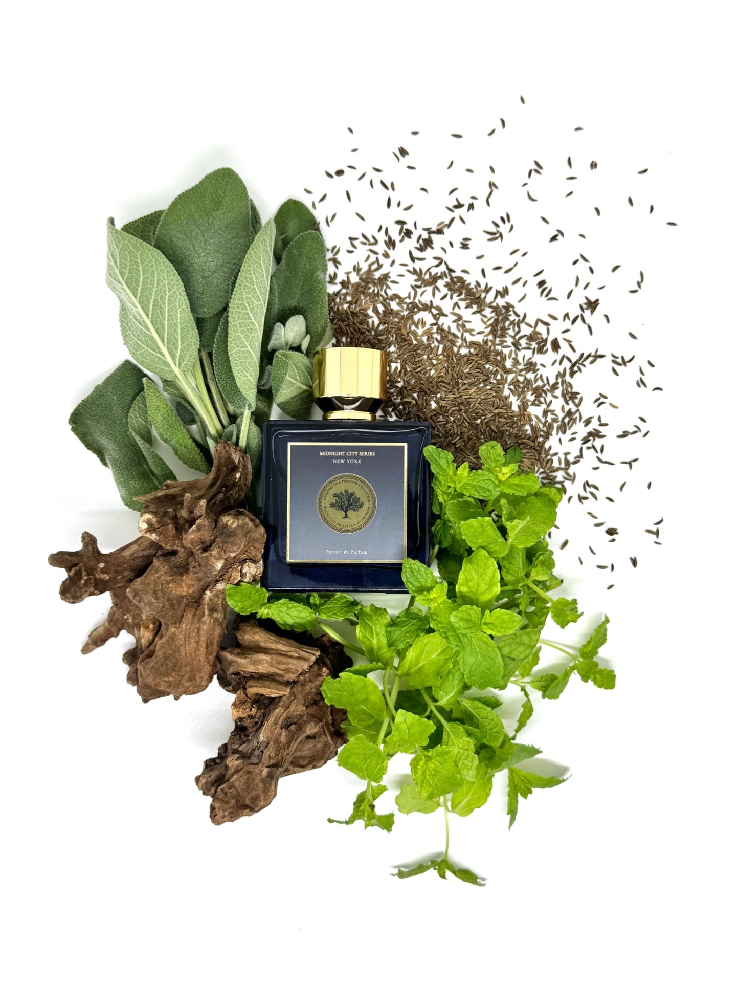 Memoirs of A Perfume Collector New York - Midnight City Series - Nose and Notes