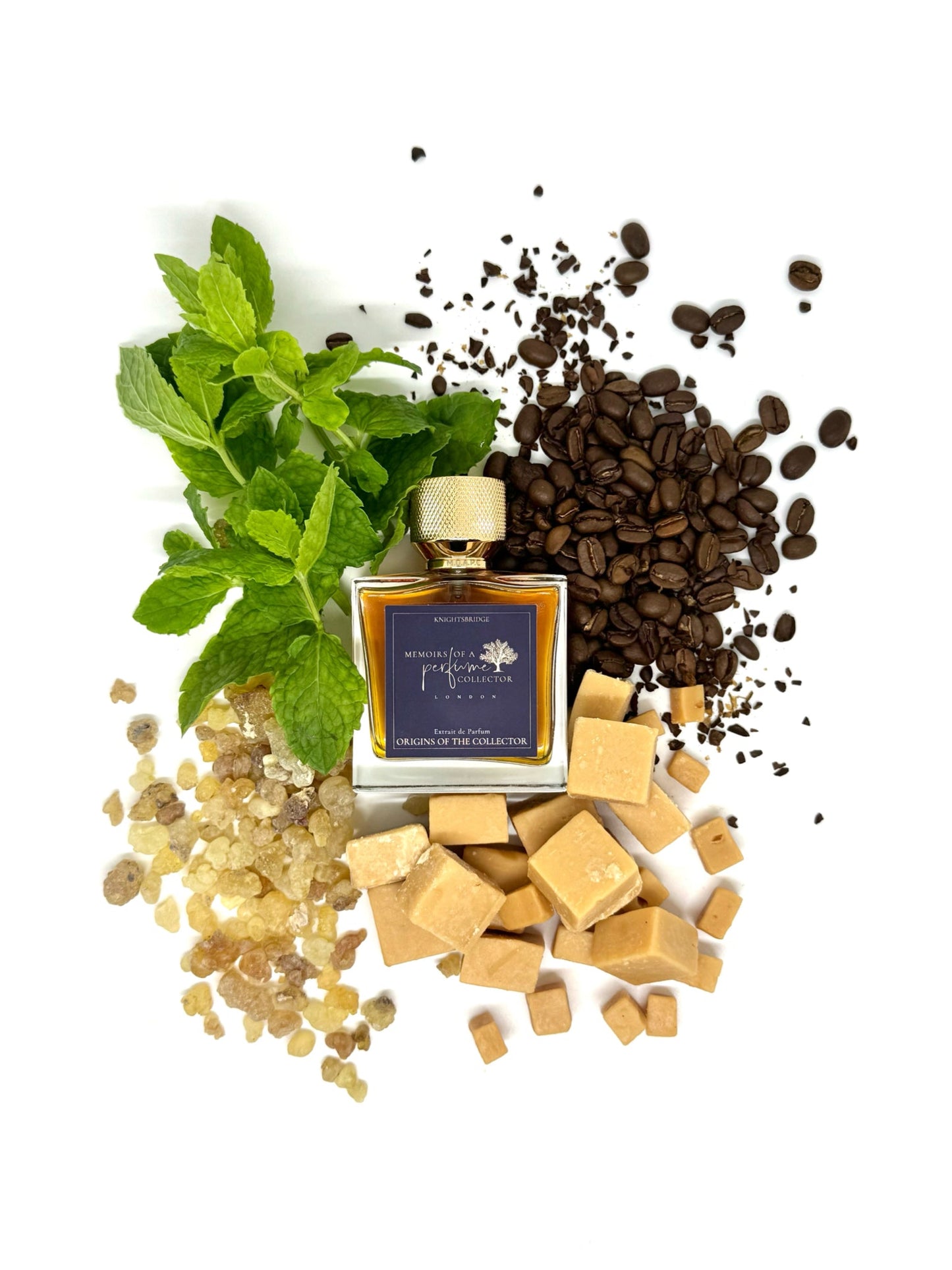 Memoirs of A Perfume Collector - Origins Of The Collector - Nose and Notes