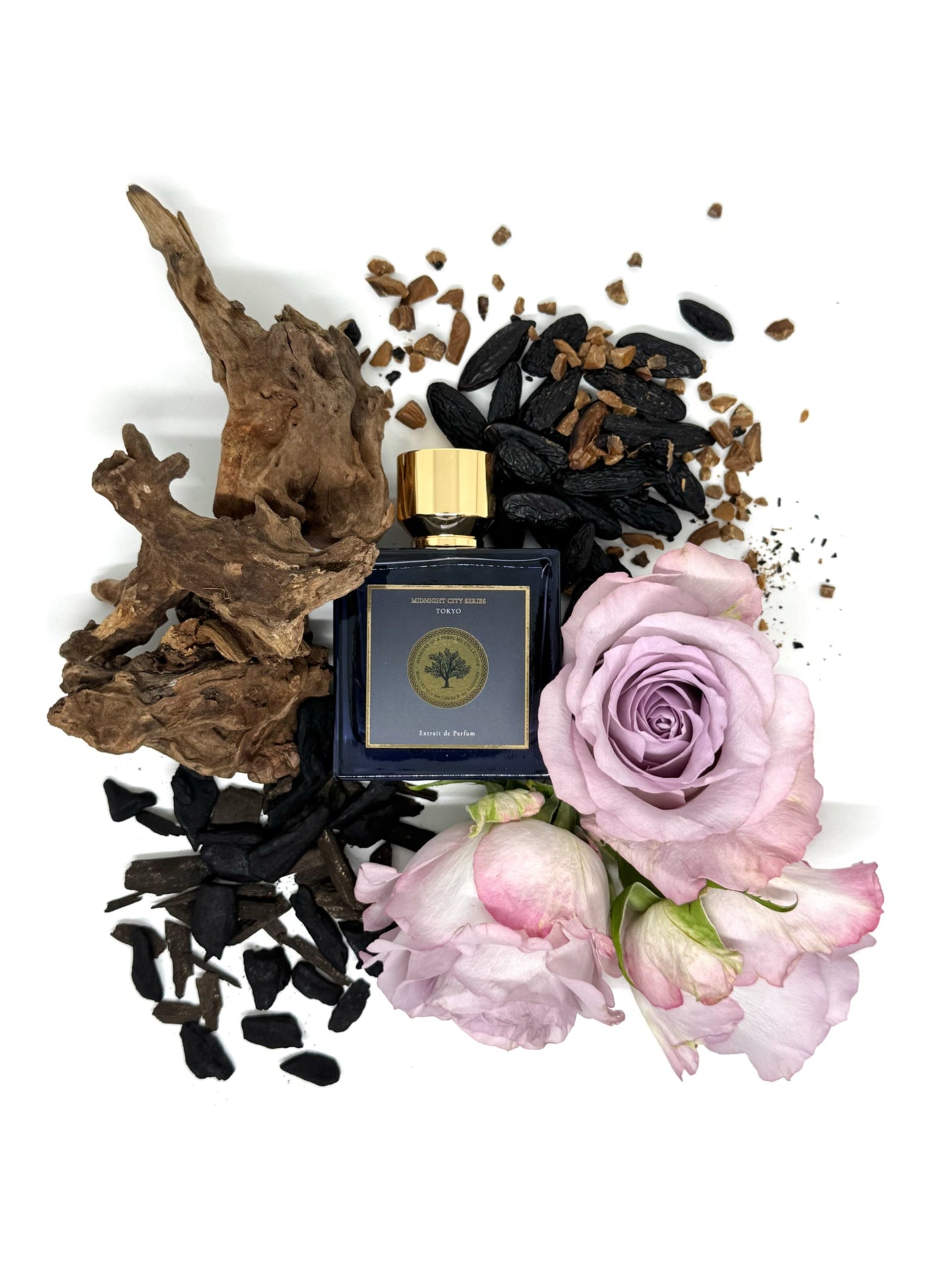 Memoirs of A Perfume Collector Tokyo - Midnight City Series - Nose and Notes