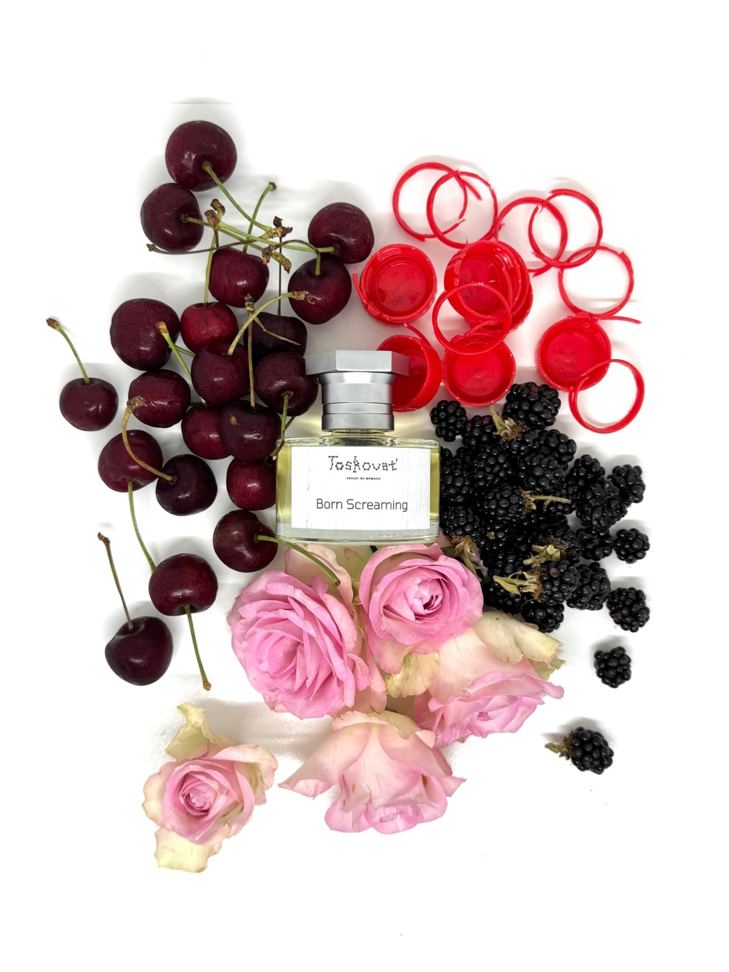 Toskovat Born Screaming - Nose and Notes