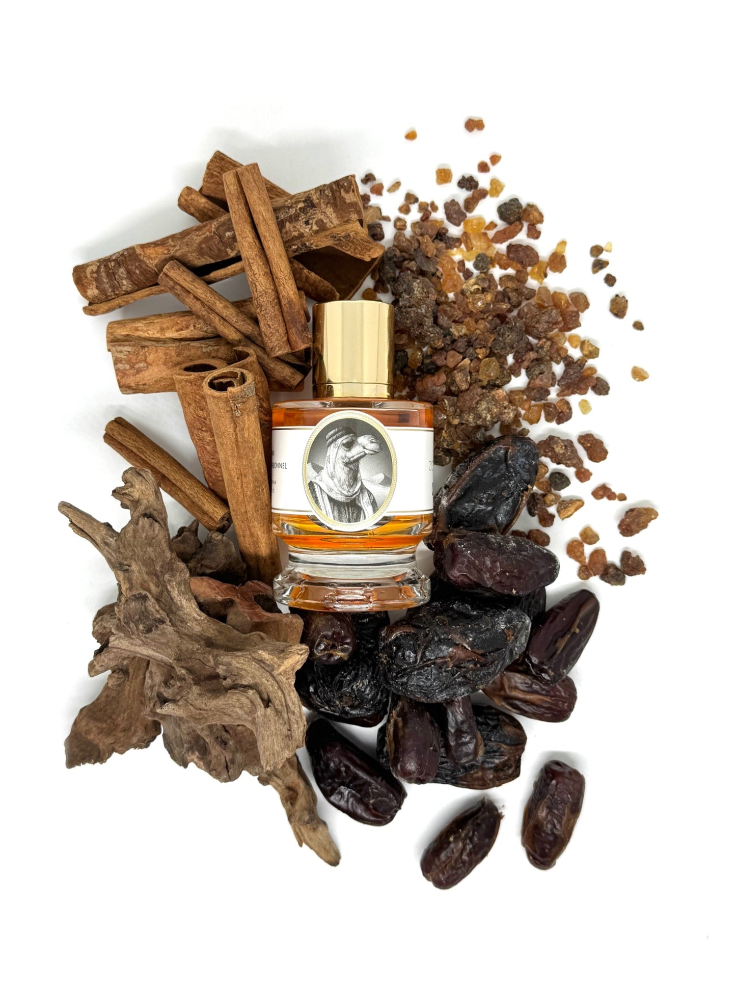 Zoologist Camel - Nose and Notes