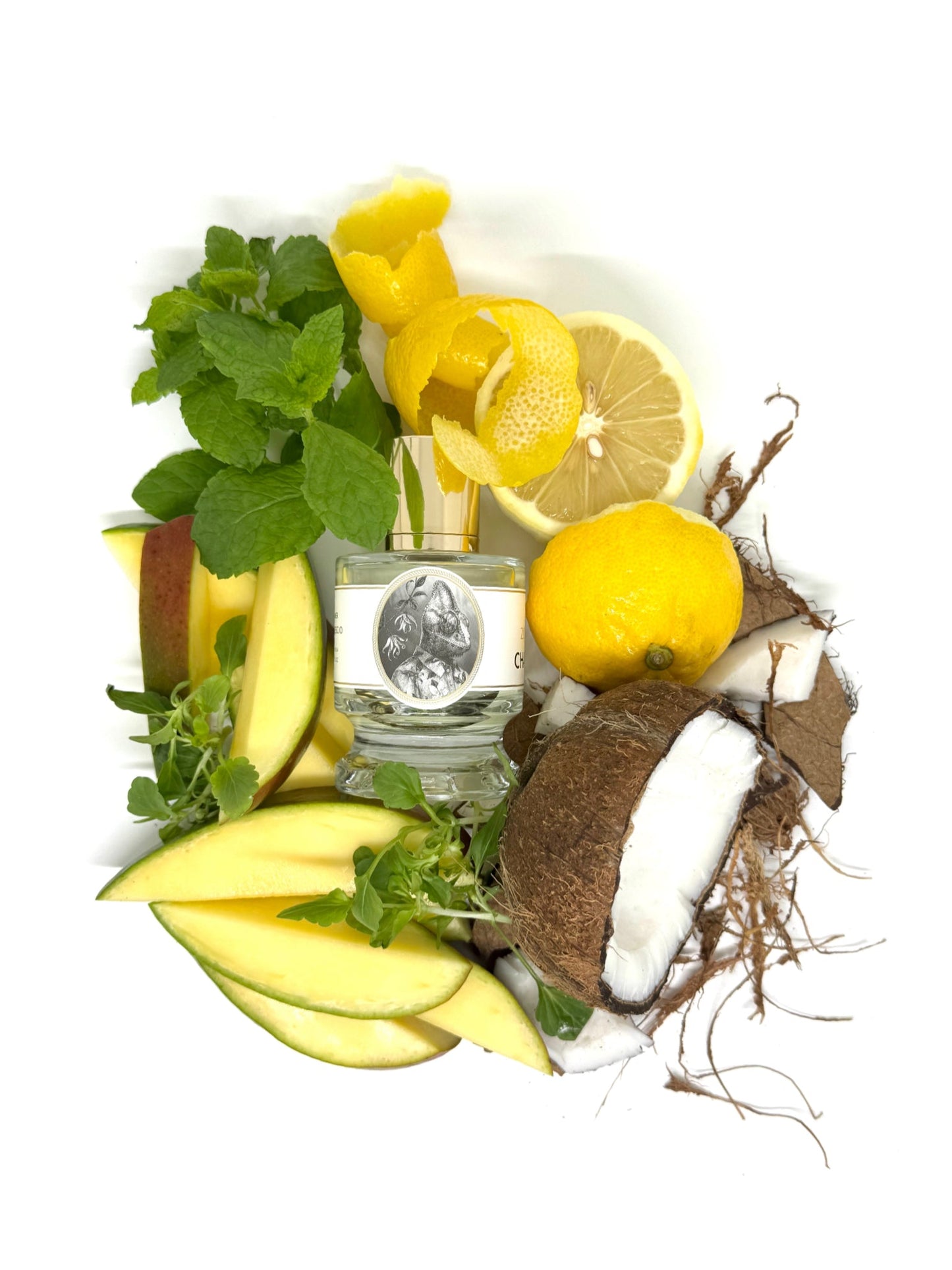 Zoologist Chameleon - Nose and Notes