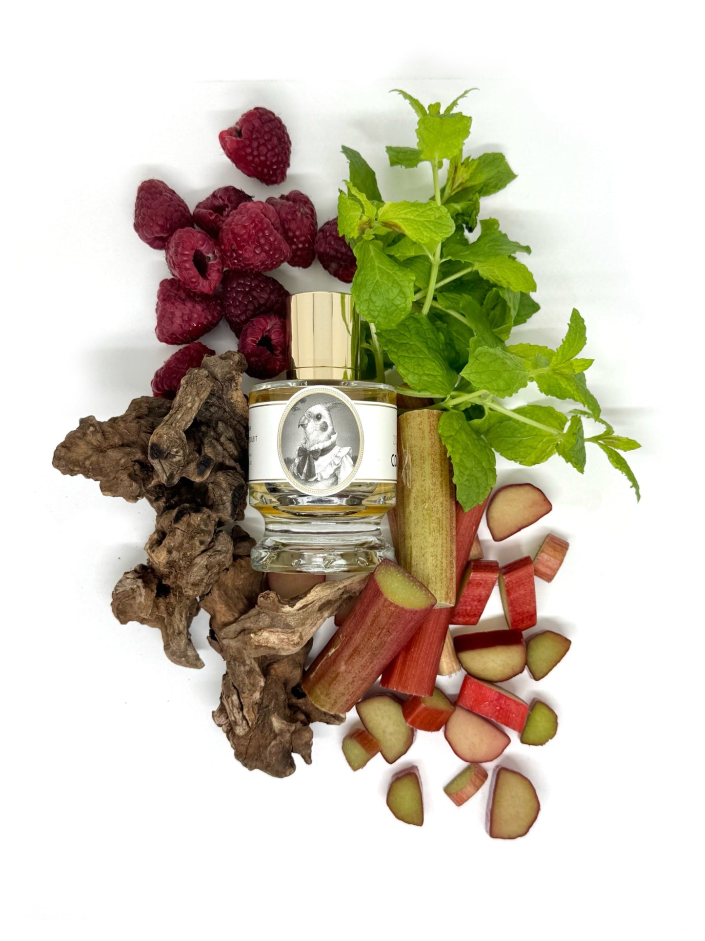 Zoologist Cockatiel - Nose and Notes