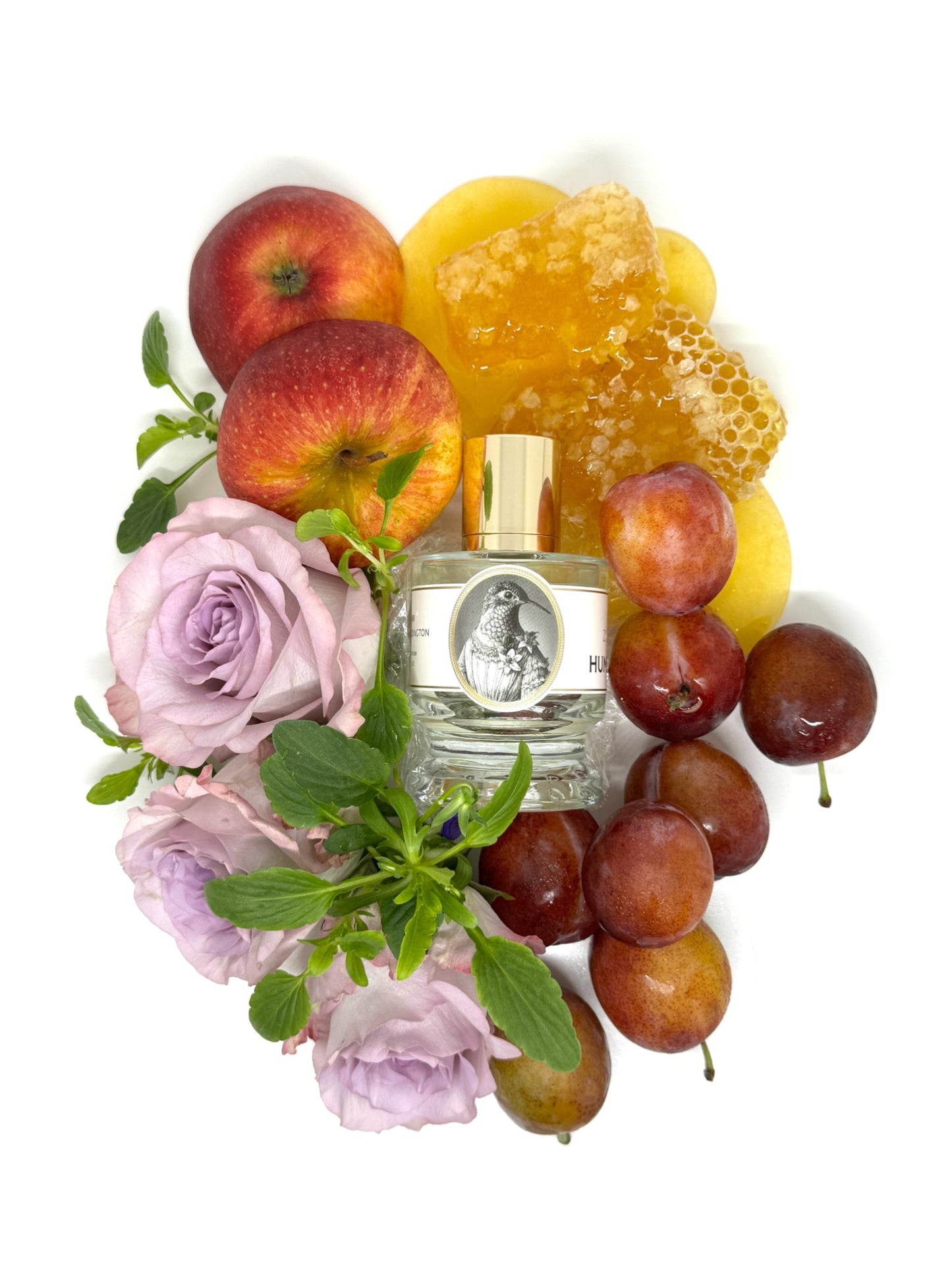 Zoologist Hummingbird - Nose and Notes