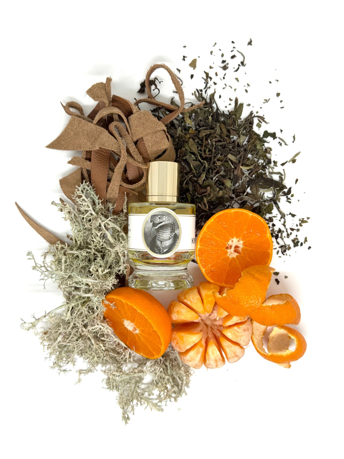 Zoologist King Cobra - Nose and Notes