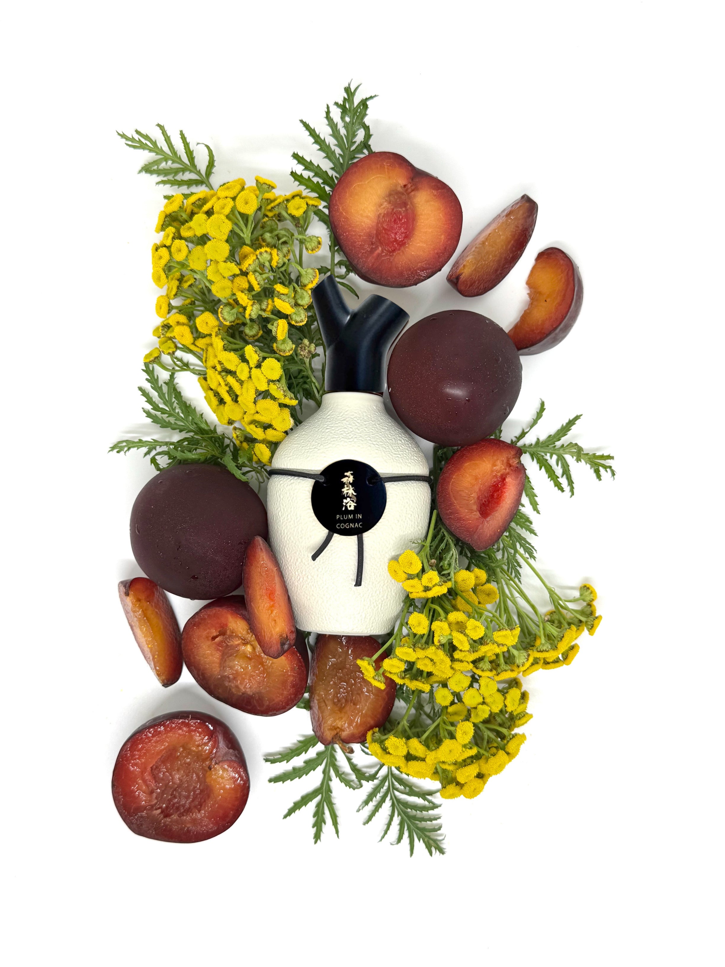 Scents of Wood Plum in Cognac Vintage 24 - 75ml EDP – Notes