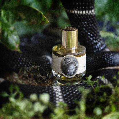 Zoologist King Cobra