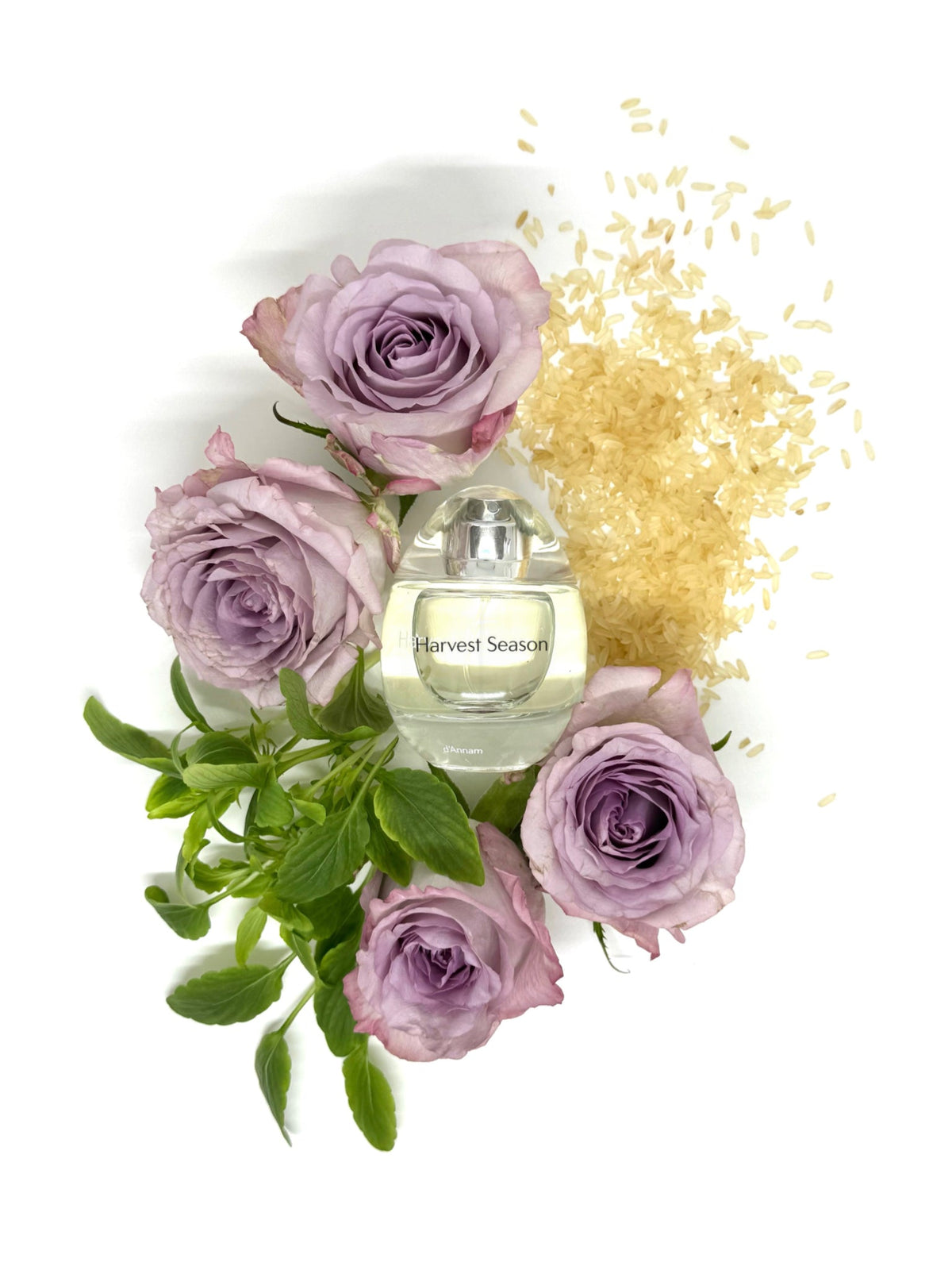 d'Annam Harvest Season eau de parfum