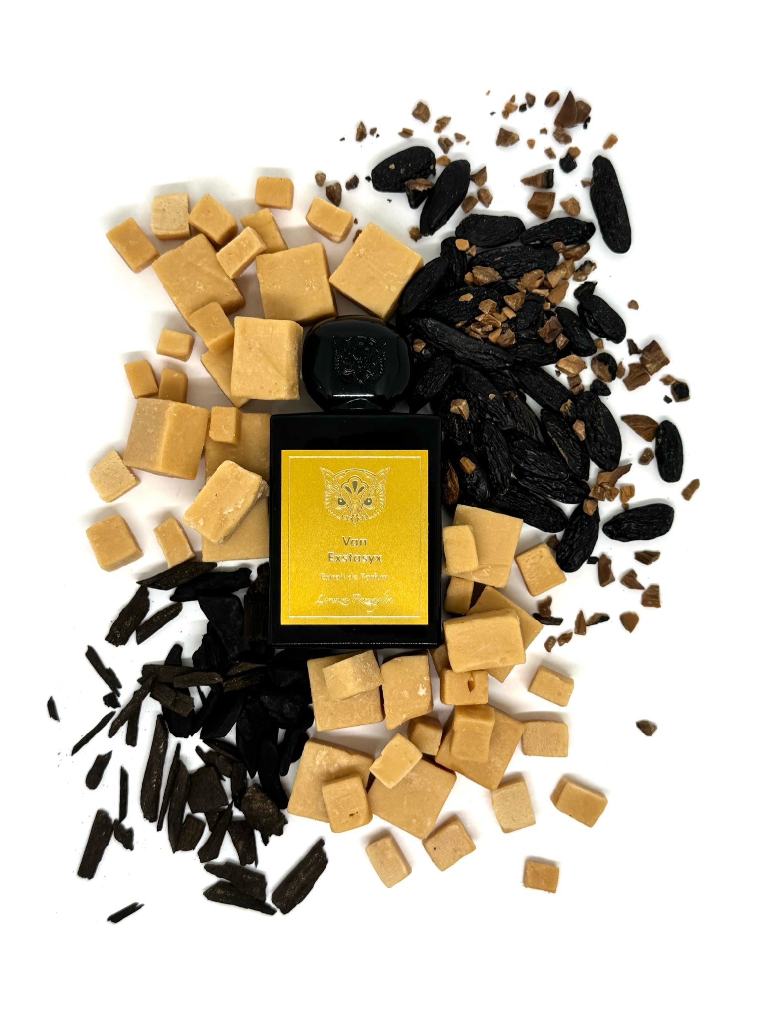 Lorenzo Pazzaglia Van Exstasyx parfume - Nose and Notes