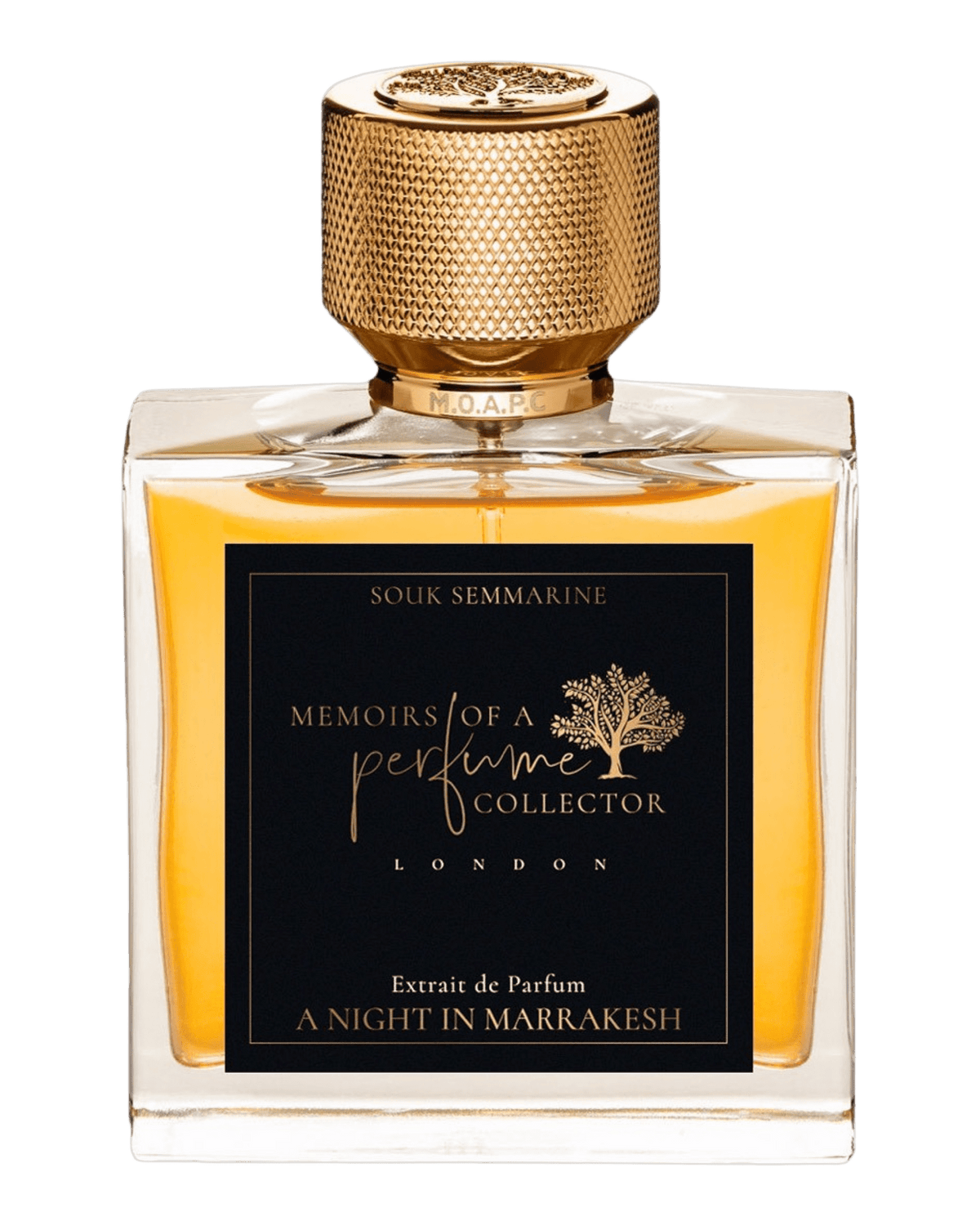 Memoirs of A Perfume Collector - A Night in Marrakesh - Nose and Notes