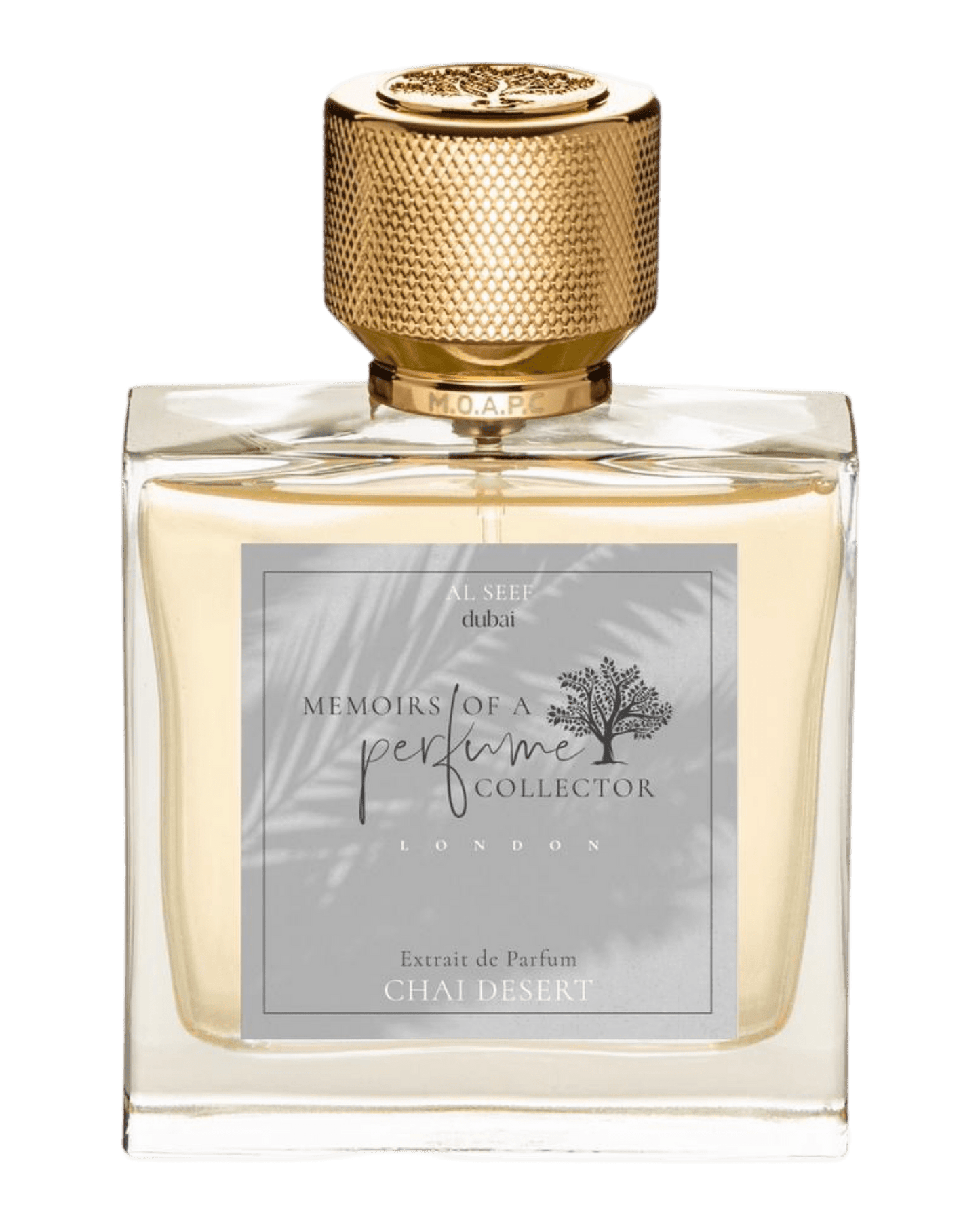 Memoirs of A Perfume Collector - Chai Desert - Nose and Notes