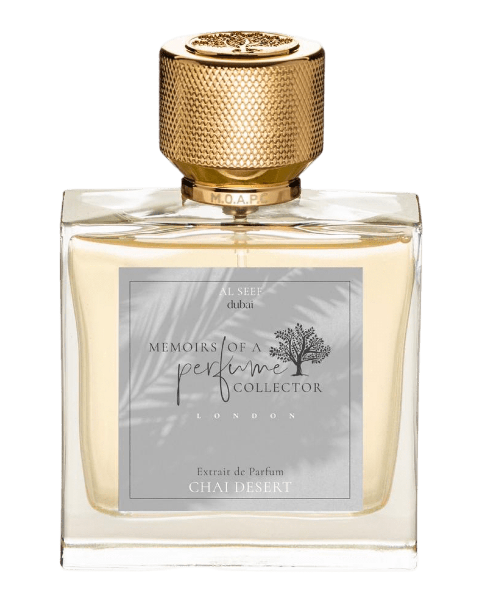 Memoirs of A Perfume Collector - Chai Desert - Nose and Notes