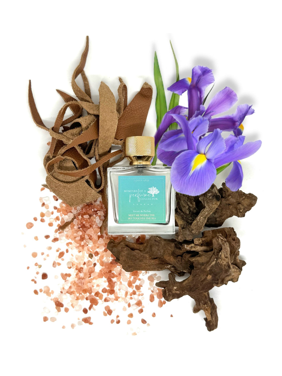 Memoirs of A Perfume Collector - Meet Me Where The Sky Touches The Sea - Nose and Notes