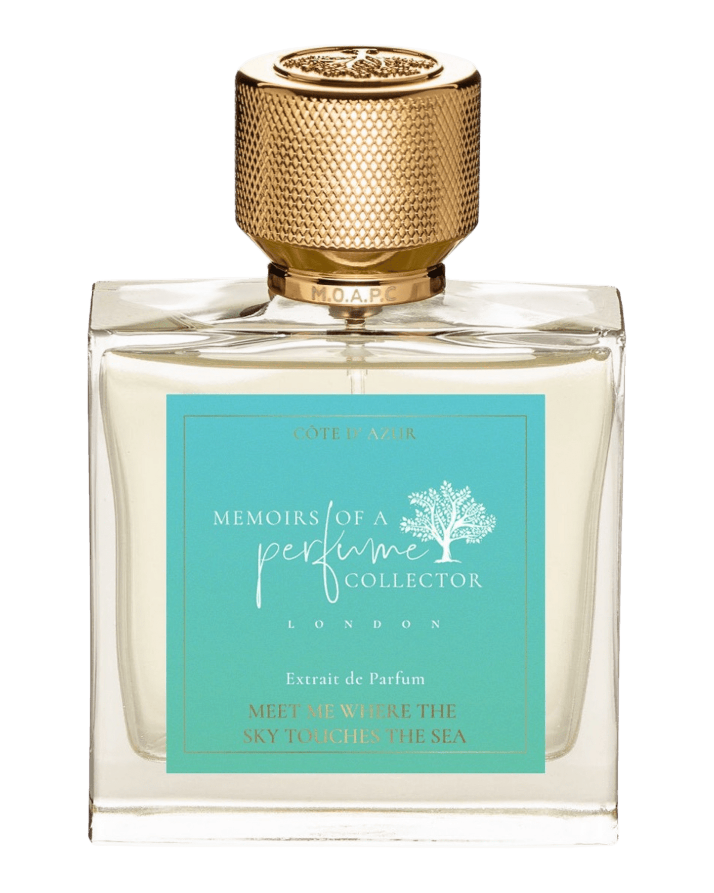 Memoirs of A Perfume Collector - Meet Me Where The Sky Touches The Sea - Nose and Notes