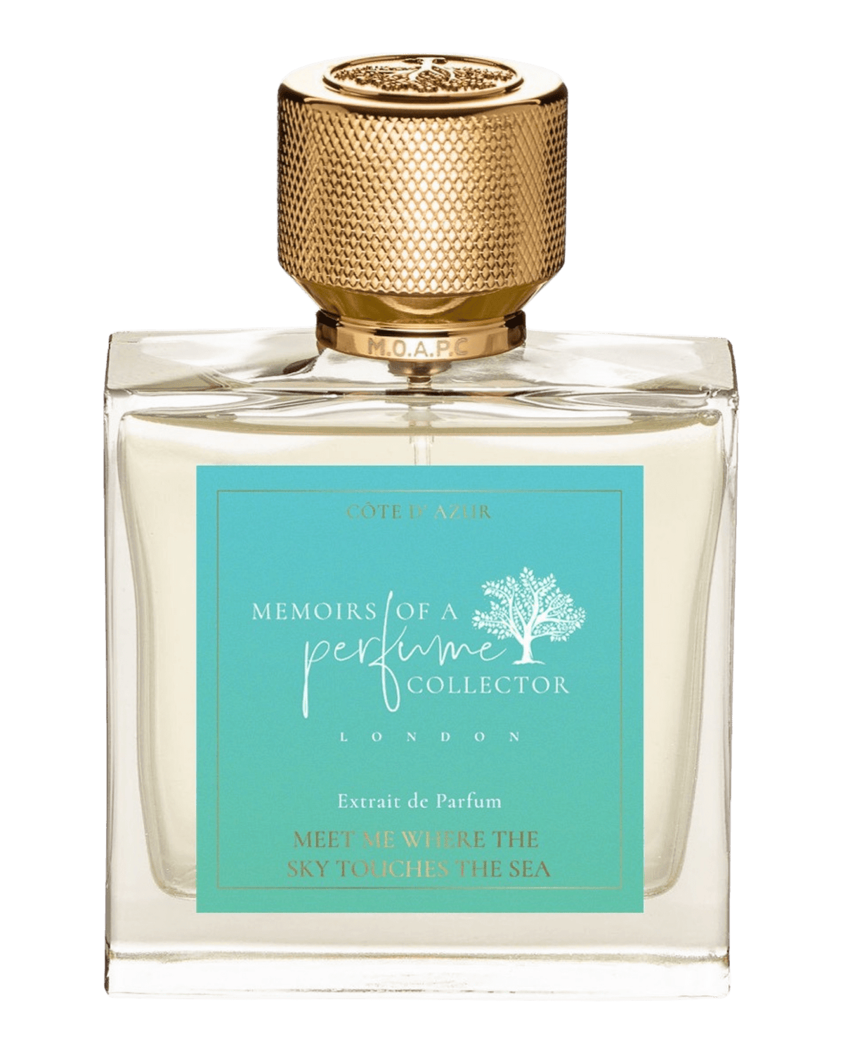 Memoirs of A Perfume Collector - Meet Me Where The Sky Touches The Sea - Nose and Notes