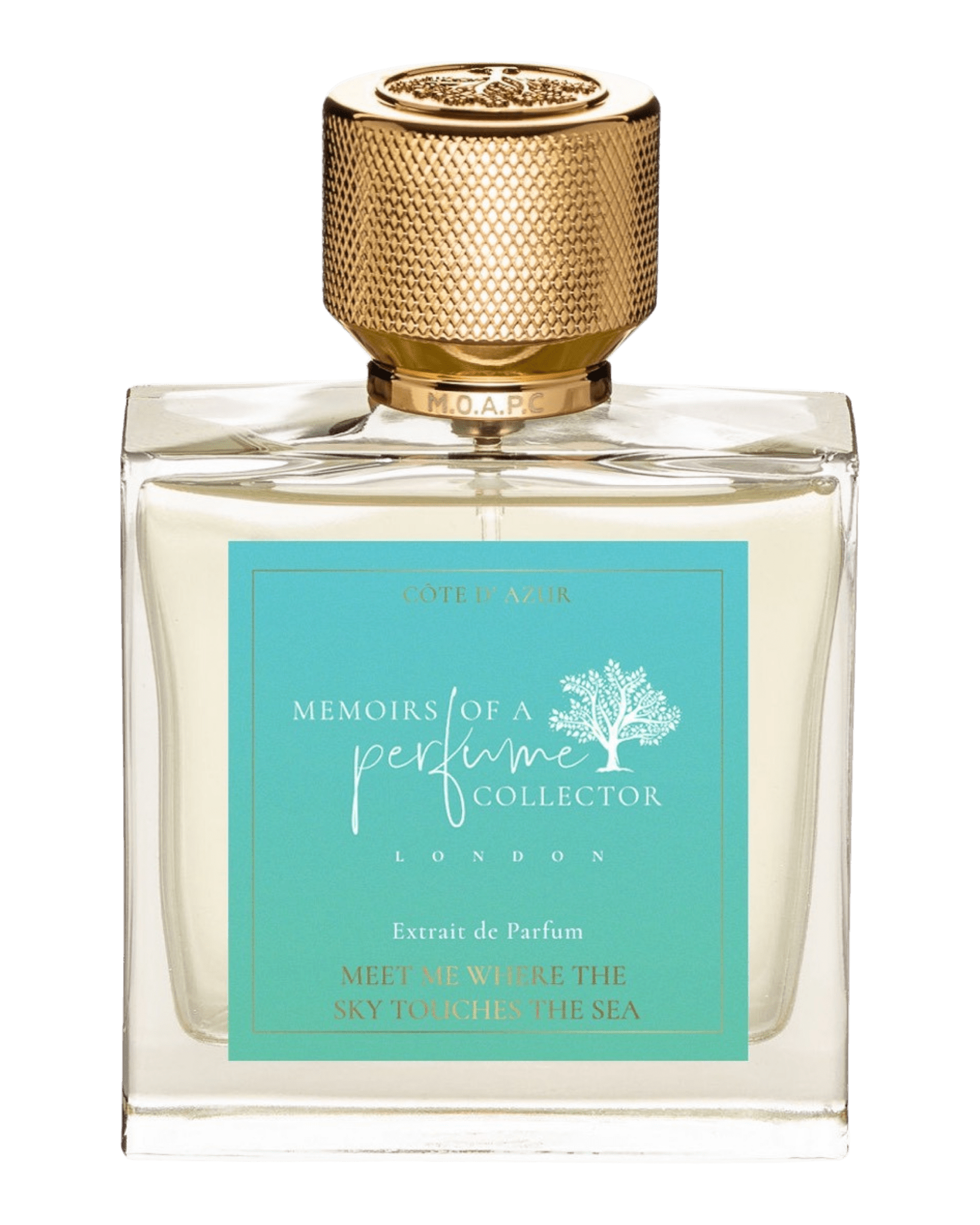 Memoirs of A Perfume Collector - Meet Me Where The Sky Touches The Sea - Nose and Notes