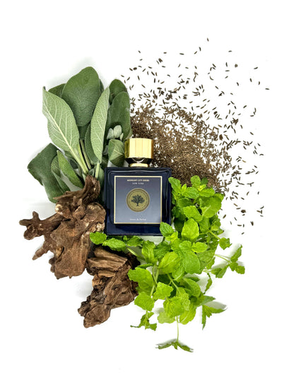 Memoirs of A Perfume Collector New York - Midnight City Series - Nose and Notes