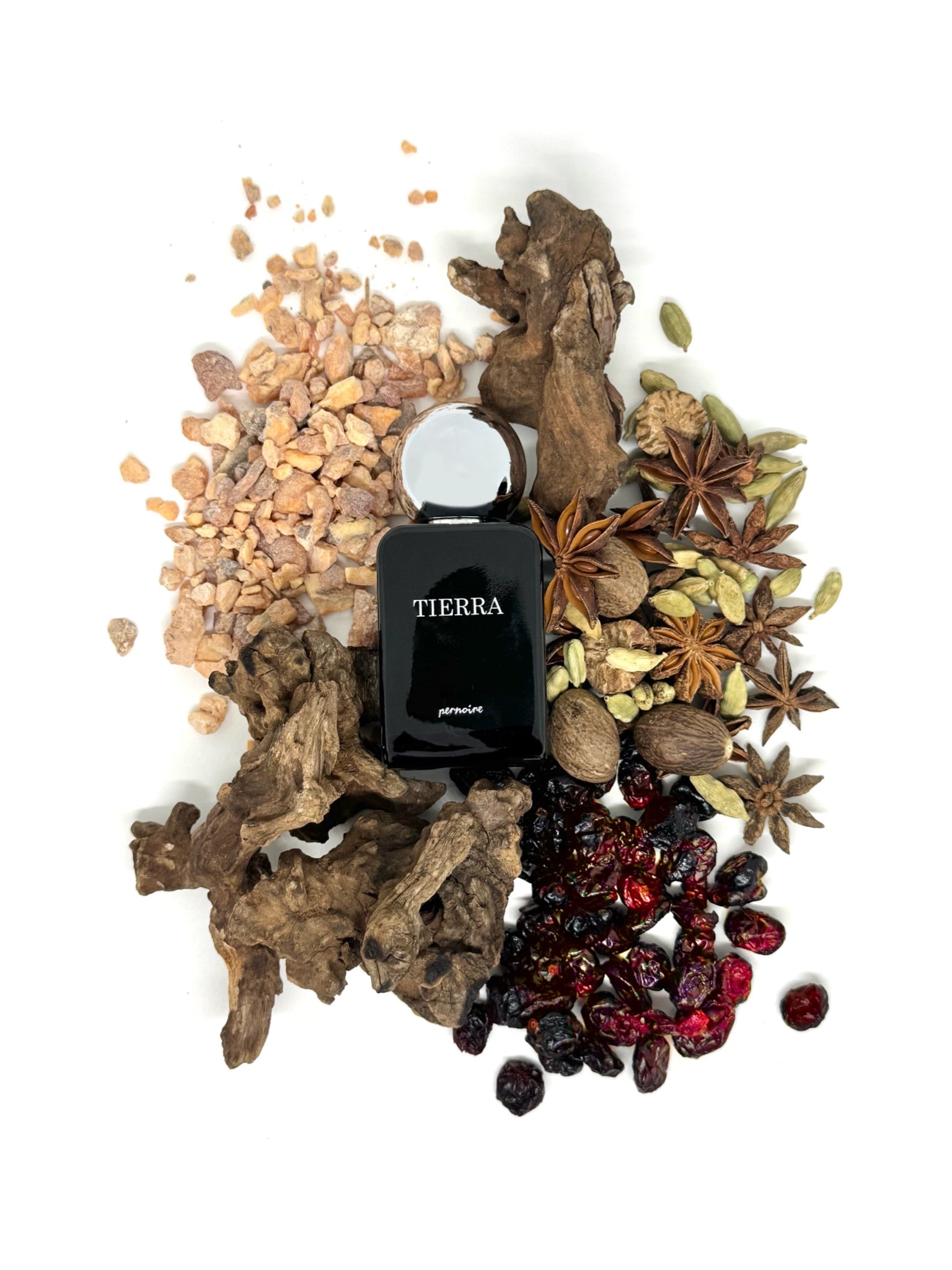 Pernoire Tierra - Nose and Notes