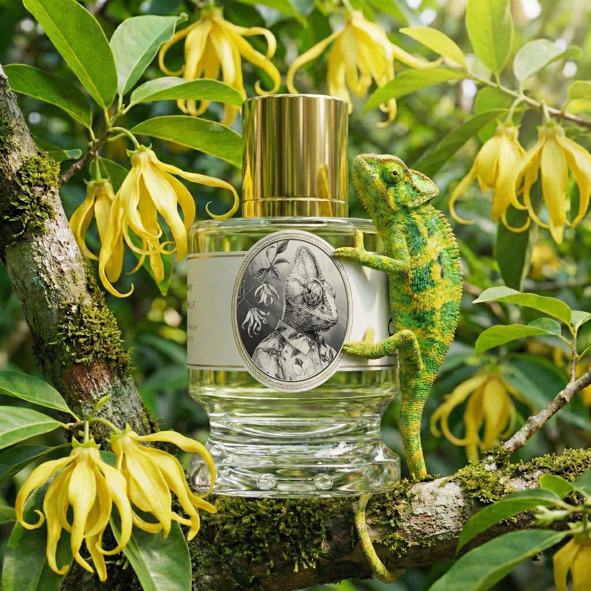Zoologist Chameleon Tropical Blooms extrait de parfum