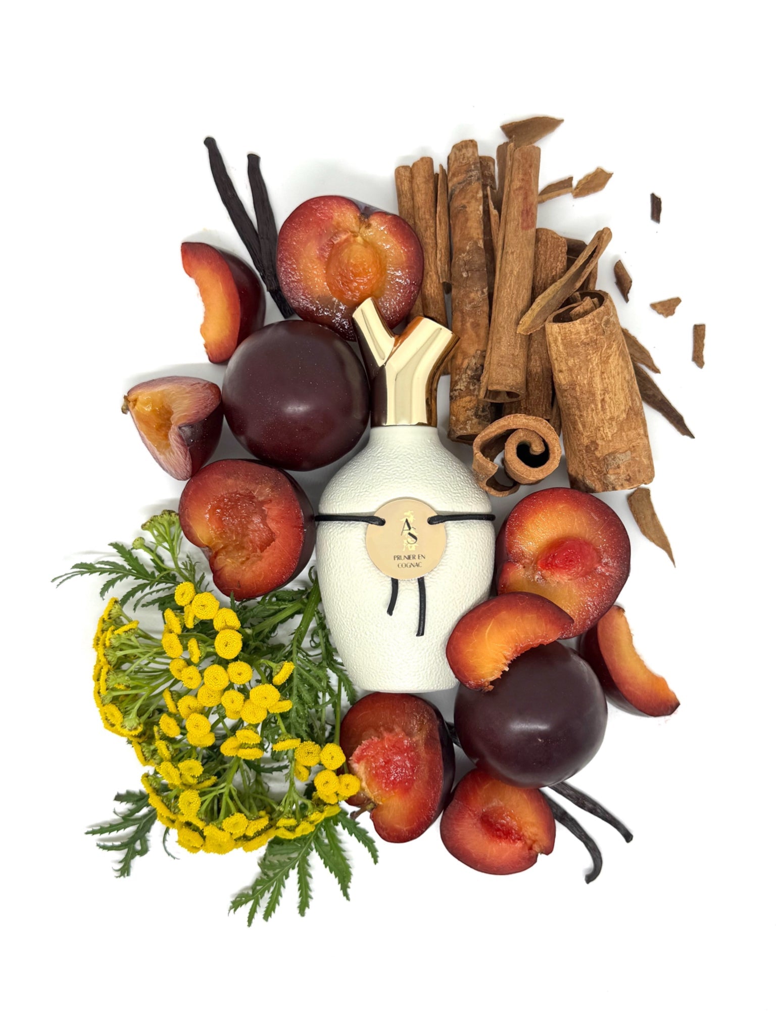 Scents of Wood Plum in Cognac - Nose and Notes