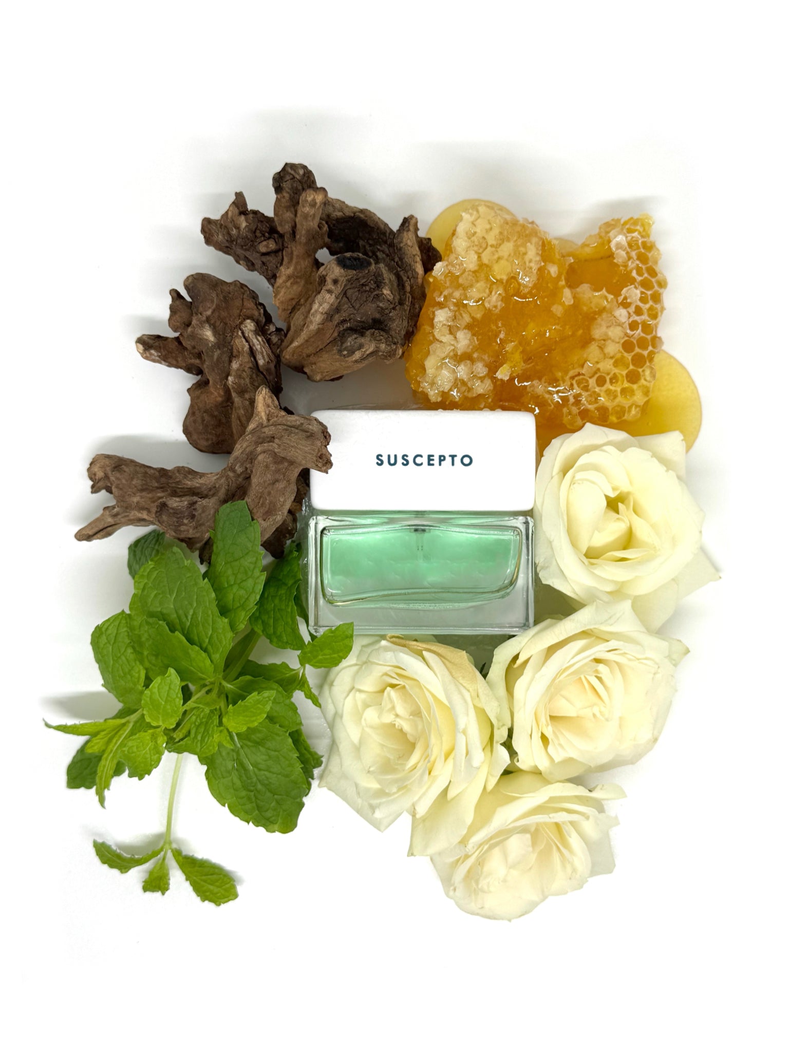 Spiritica Suscepto - Nose and Notes