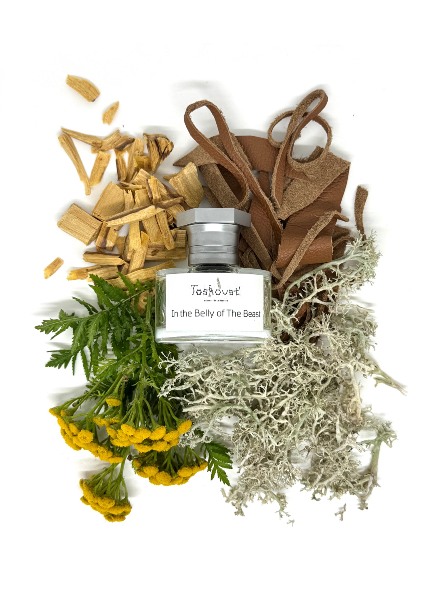 Toskovat - In The Belly of The Beast - Nose and Notes