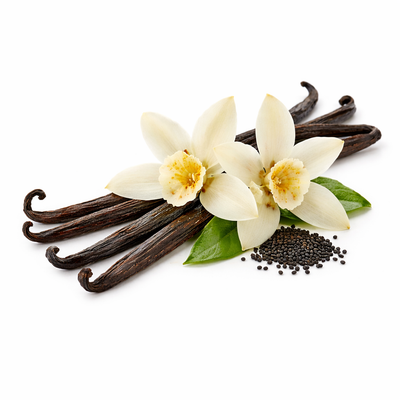 Vanilje NOTES PARFUMERIE