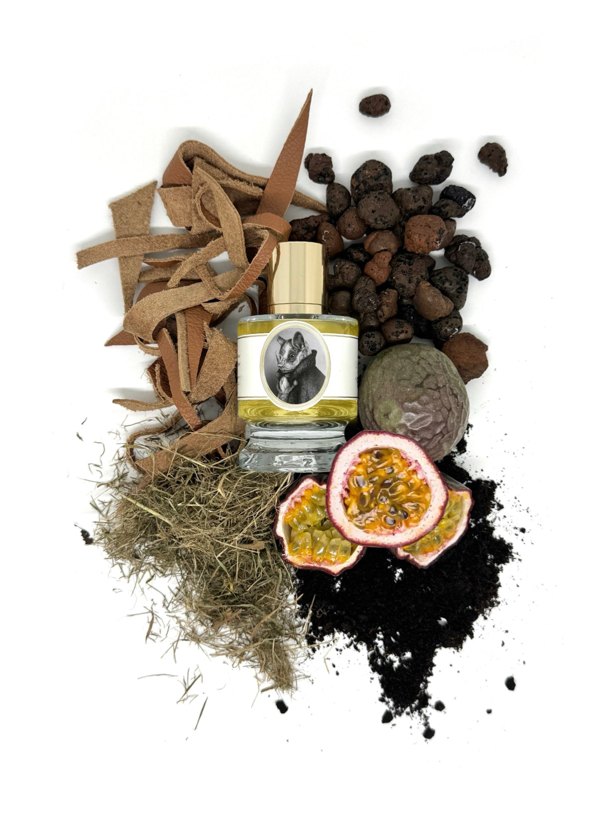 Zoologist Bat extrait de parfum