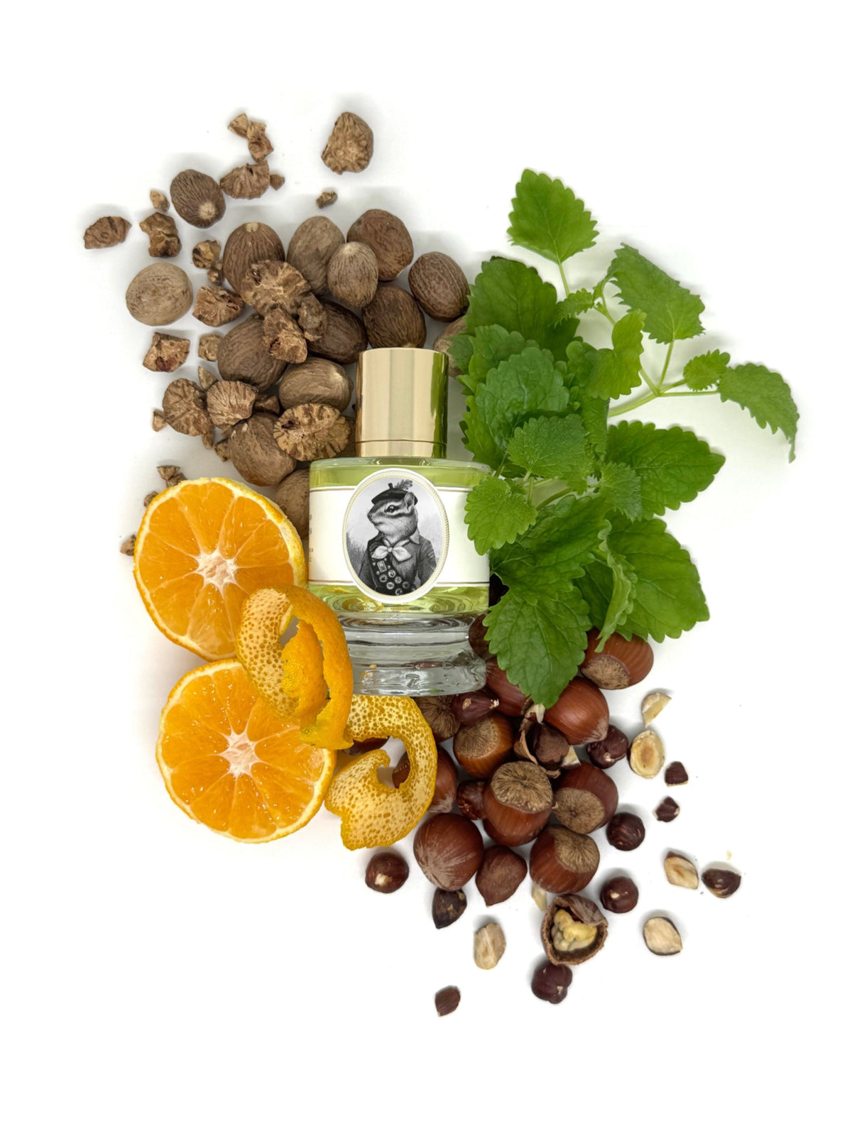 Zoologist Chipmunk extrait de parfum