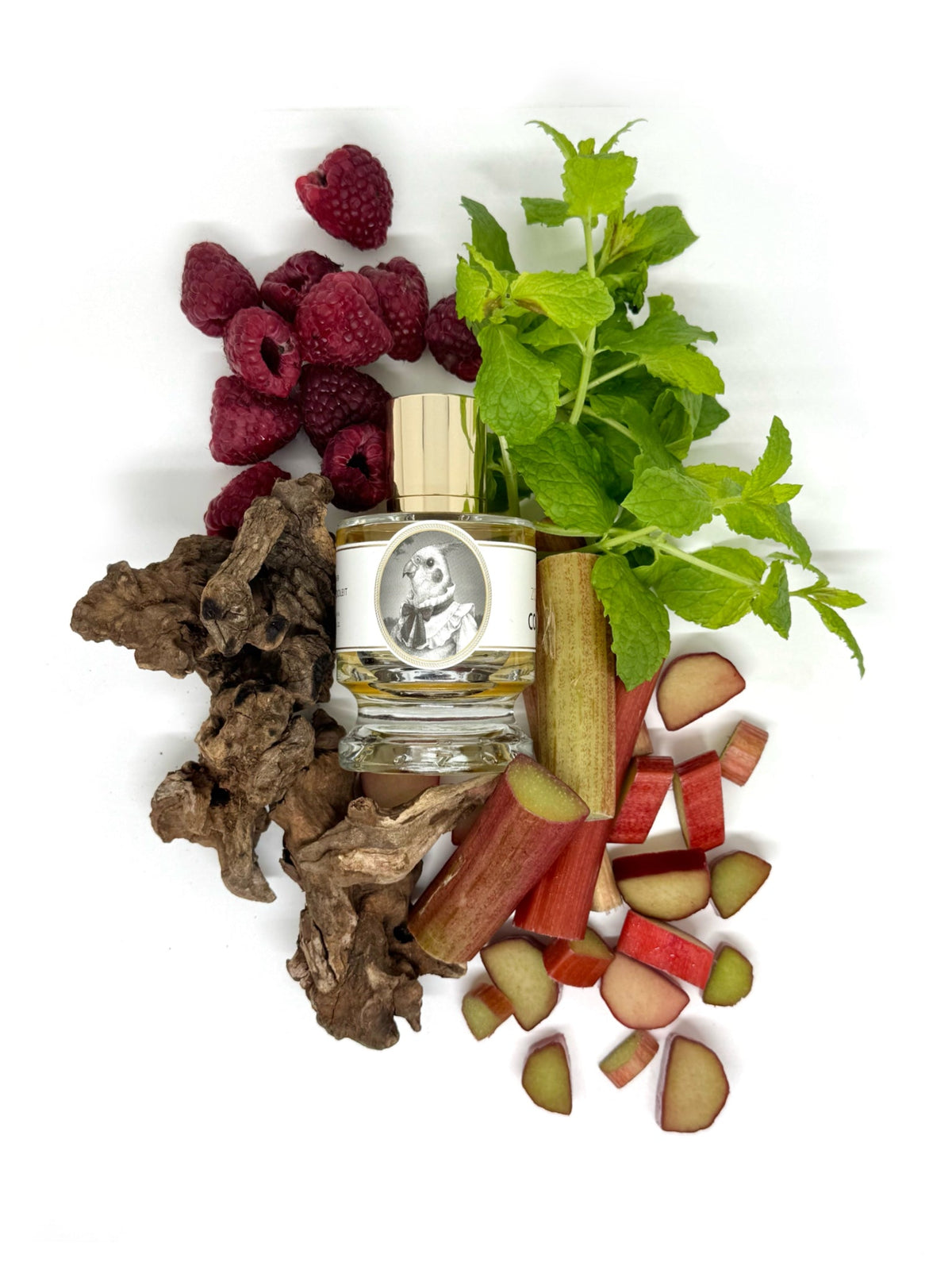 Zoologist Cockatiel extrait de parfum