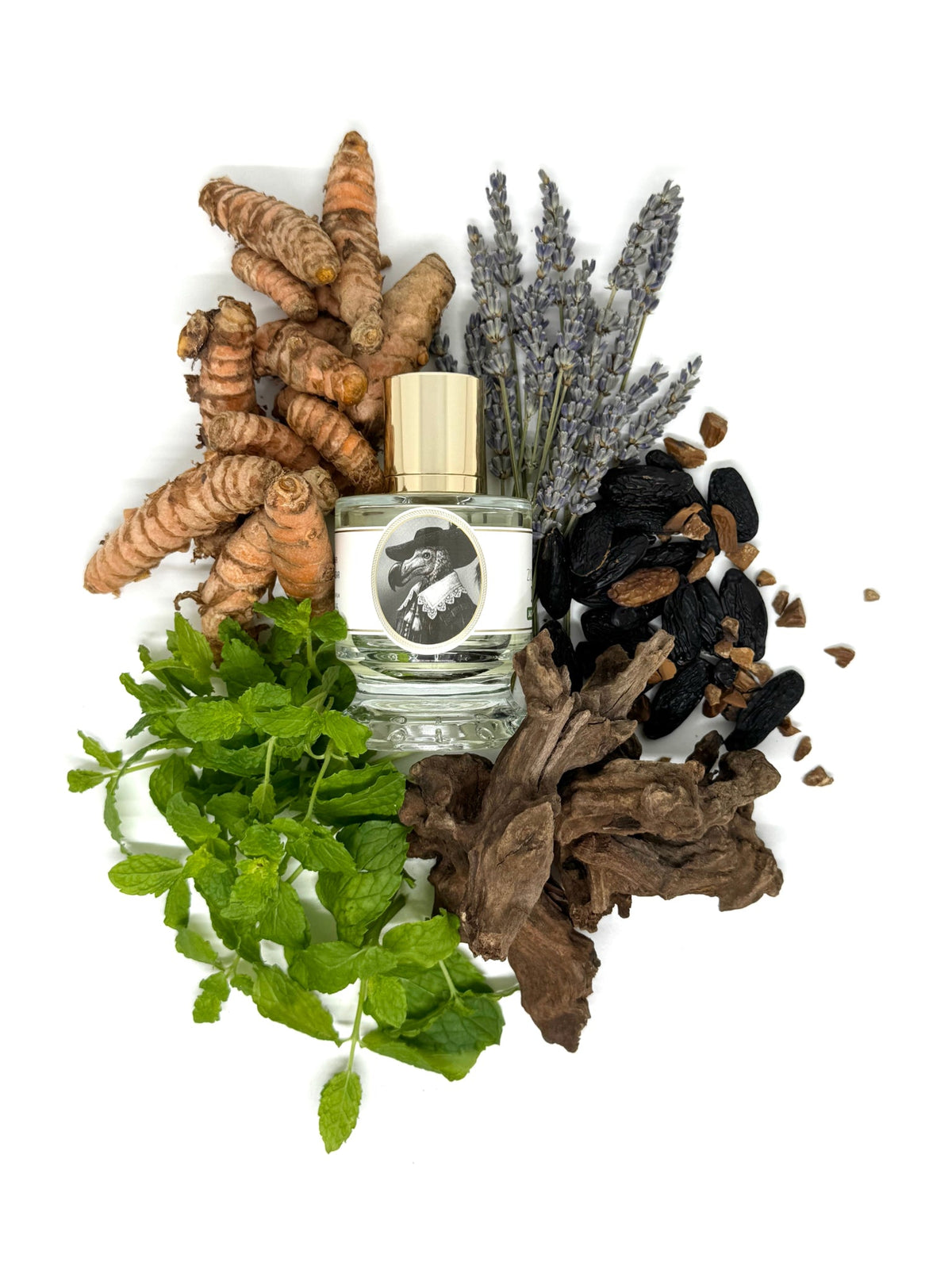 Zoologist Dodo Jackfruit Edition extrait de parfum