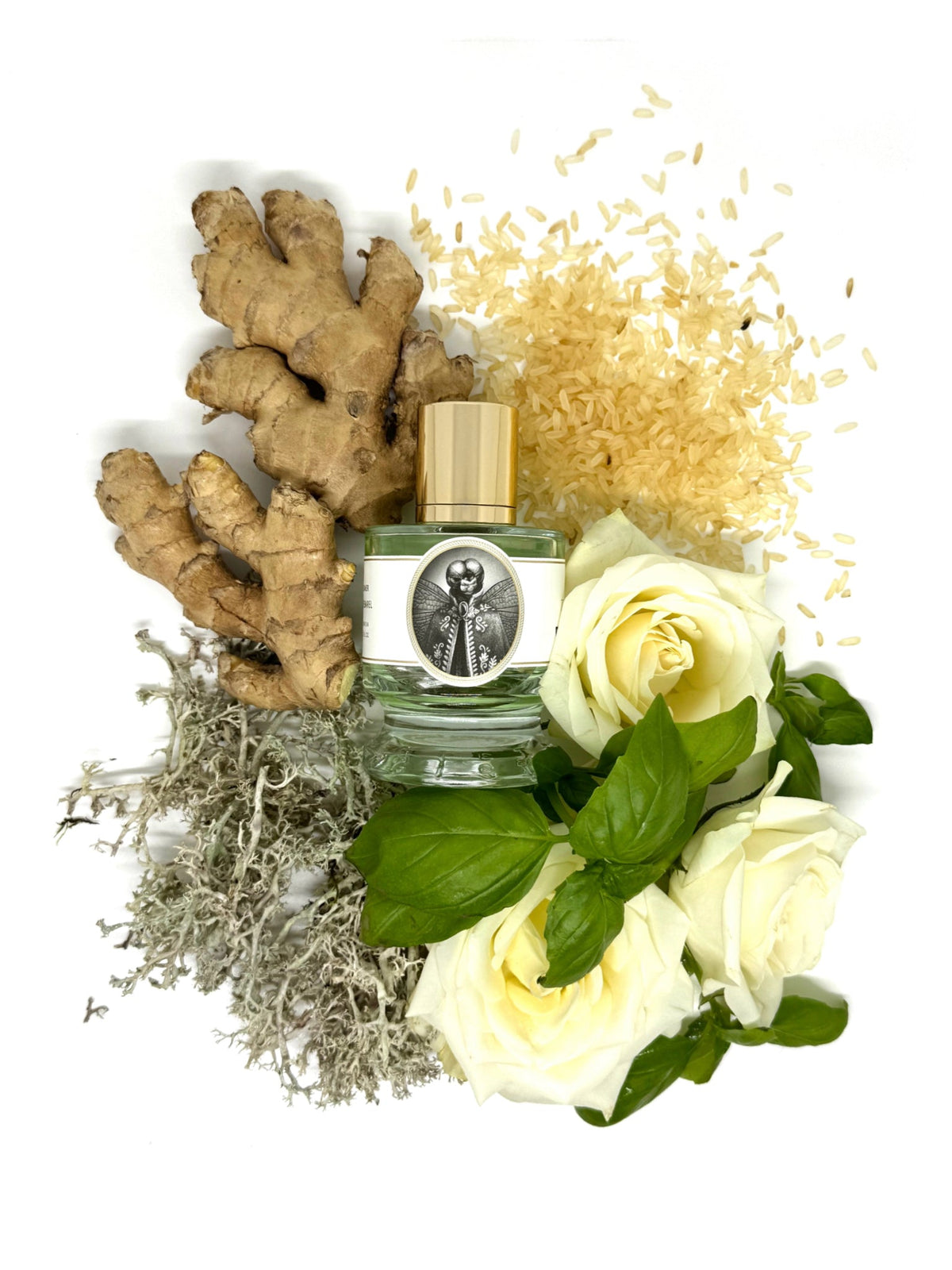 Zoologist Dragonfly extrait de parfum