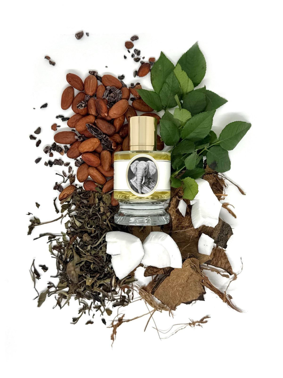Zoologist Elephant extrait de parfum