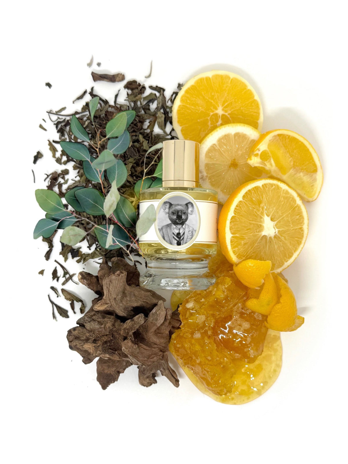 Zoologist Koala extrait de parfum