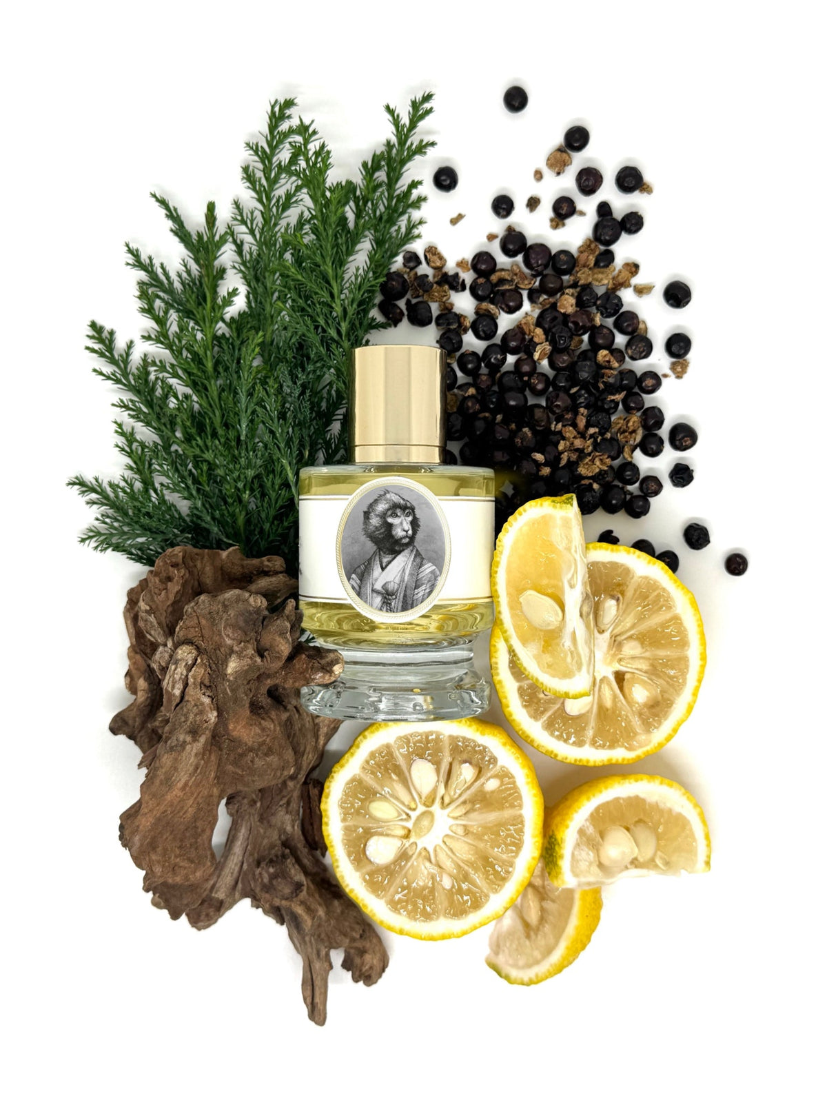 Zoologist Macaque Yuzu Edition extrait de parfum
