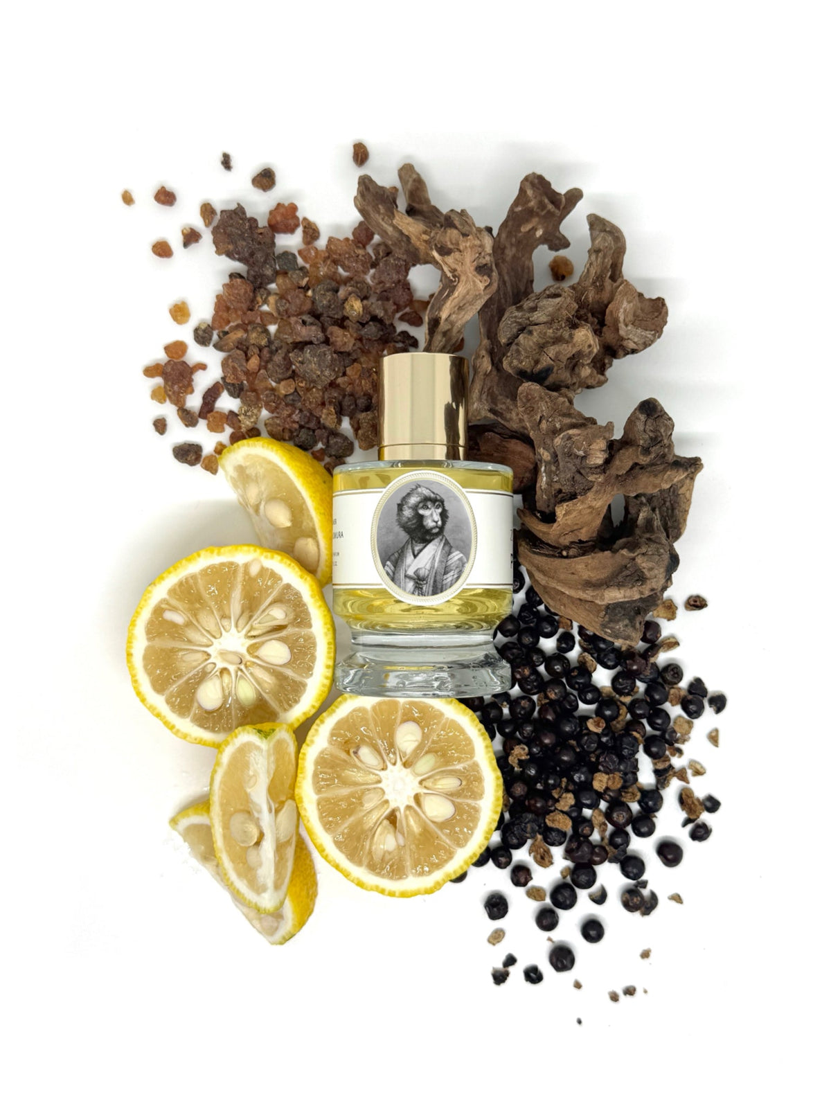 Zoologist Macaque Yuzu Edition extrait de parfum