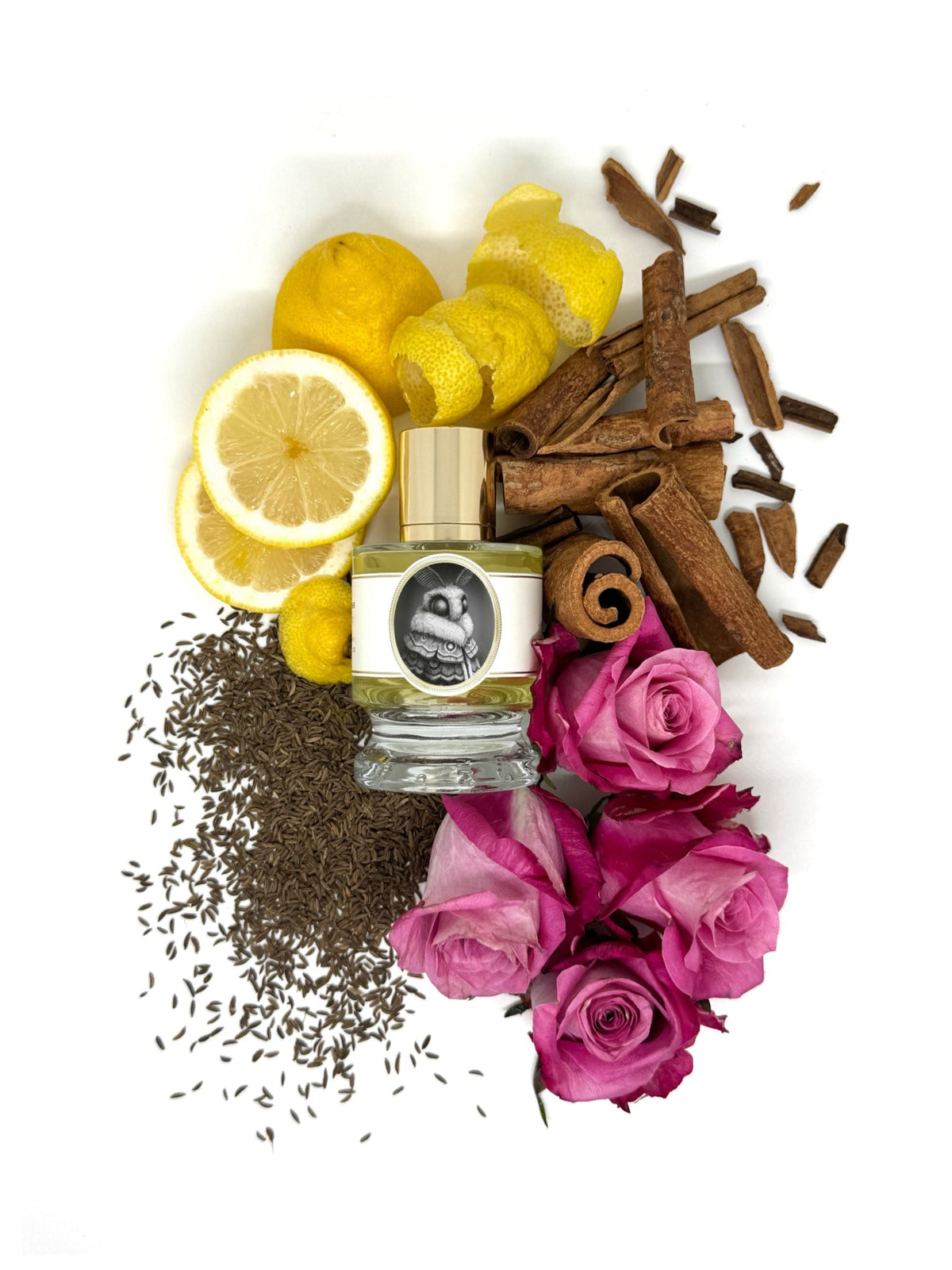 Zoologist Moth extrait de parfum