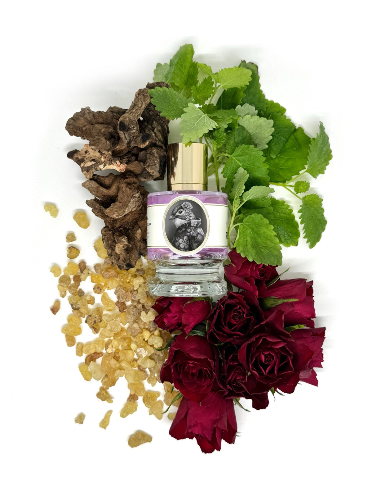 Zoologist Nightingale extrait de parfum
