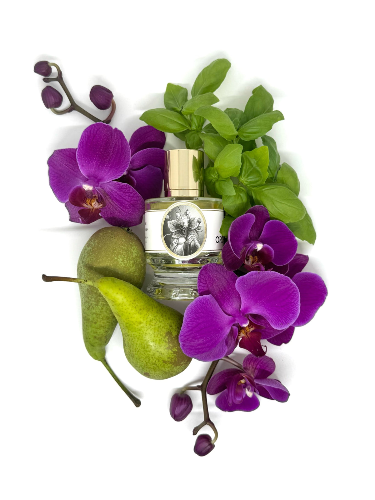 Zoologist Orchid Mantis extrait de parfum