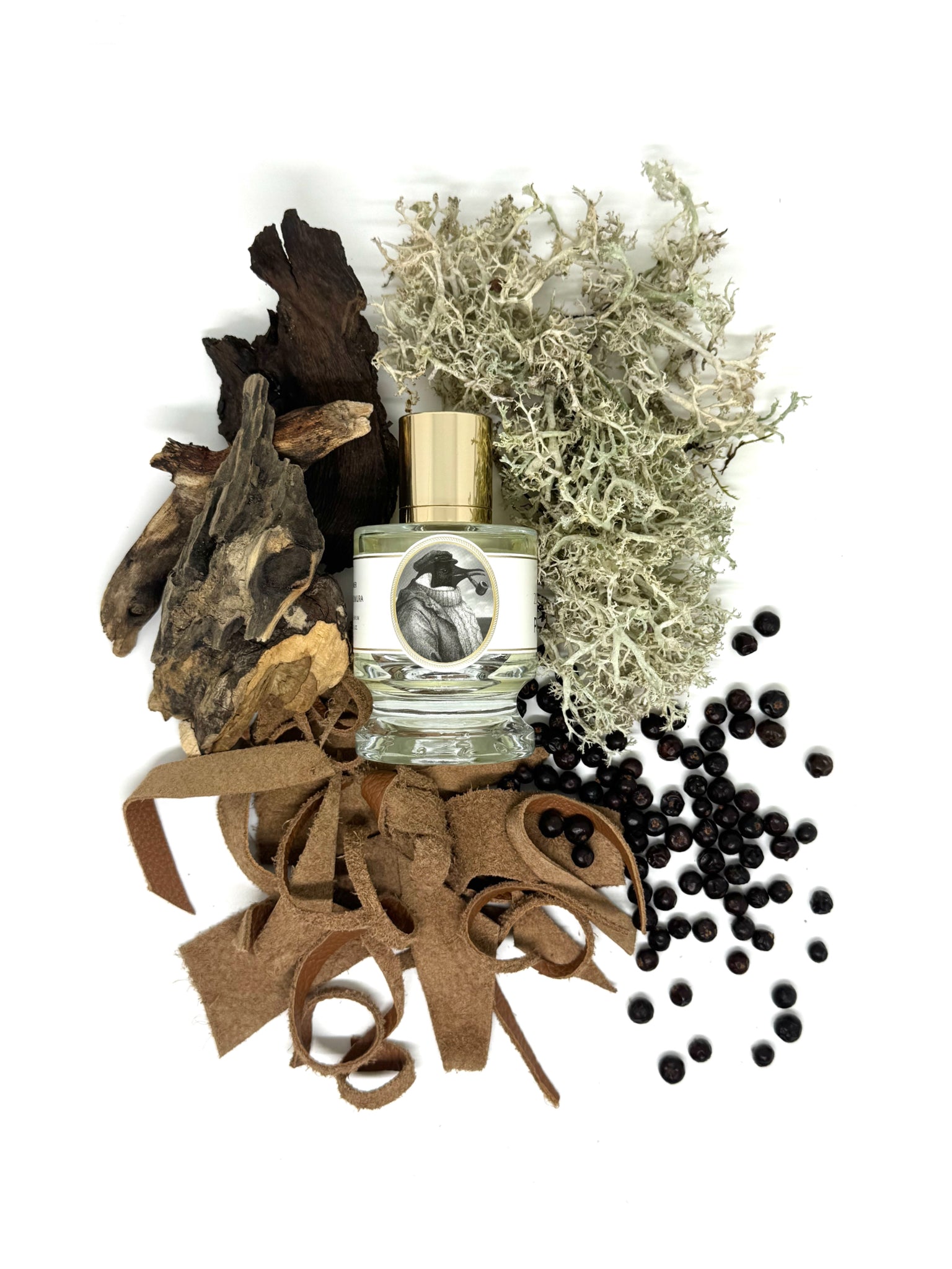 Zoologist Penguin - 60ml extrait de parfum – Notes