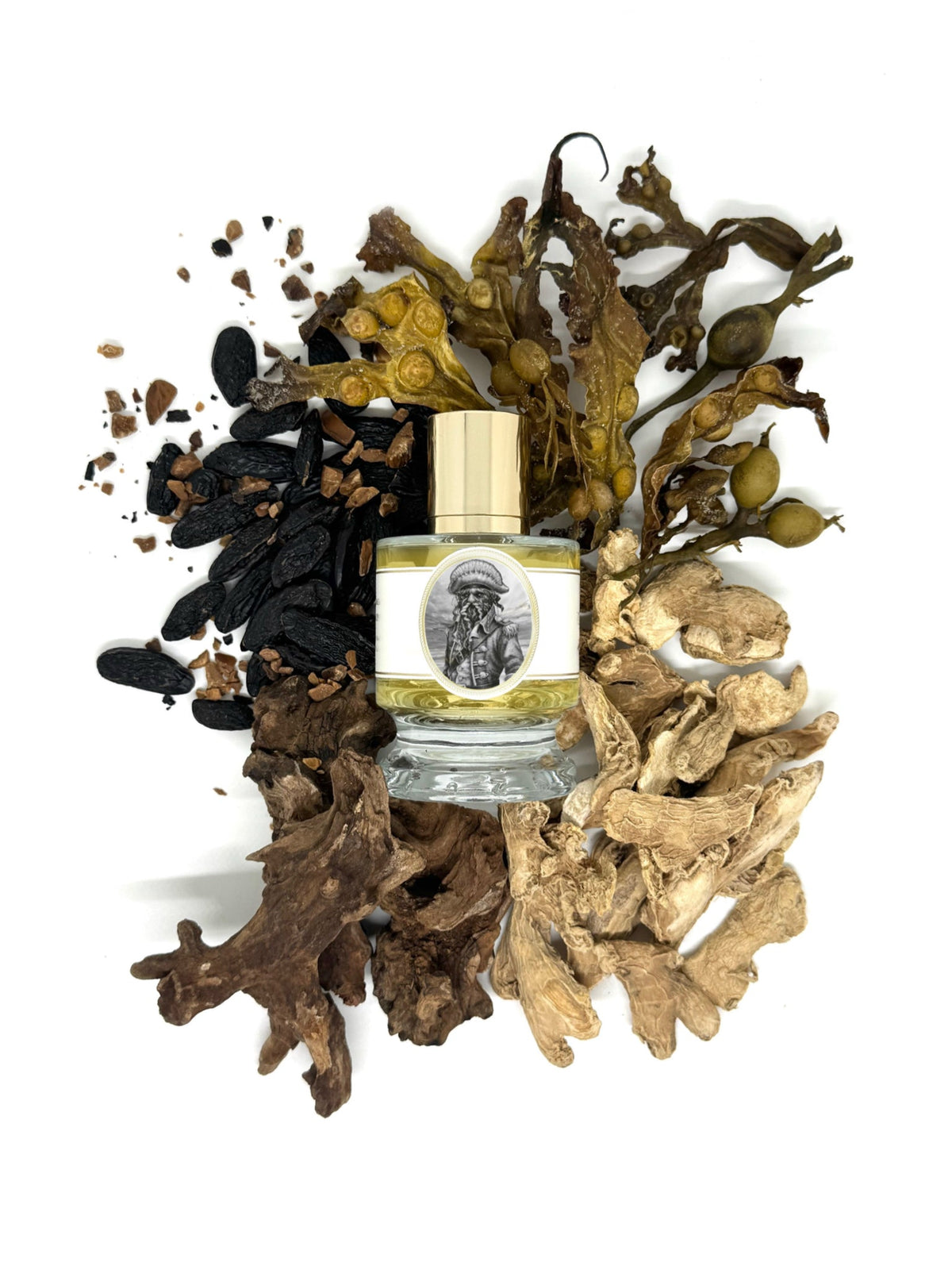 Zoologist Portuguese Man O' War extrait de parfum