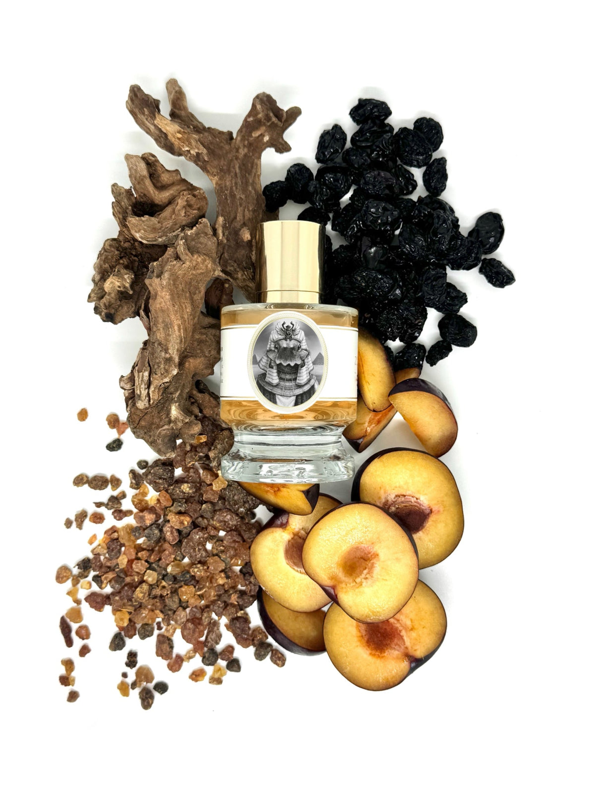 Zoologist Sacred Scarab extrait de parfum
