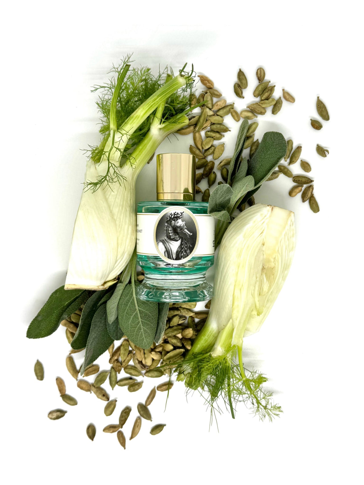 Zoologist Seahorse extrait de parfum