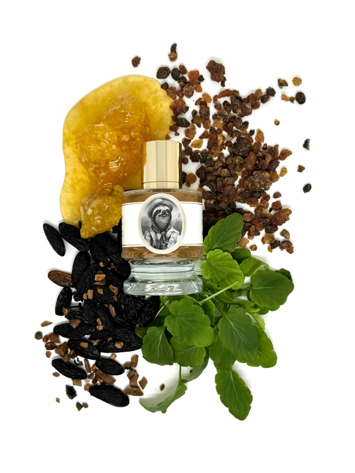 Zoologist Sloth extrait de parfum