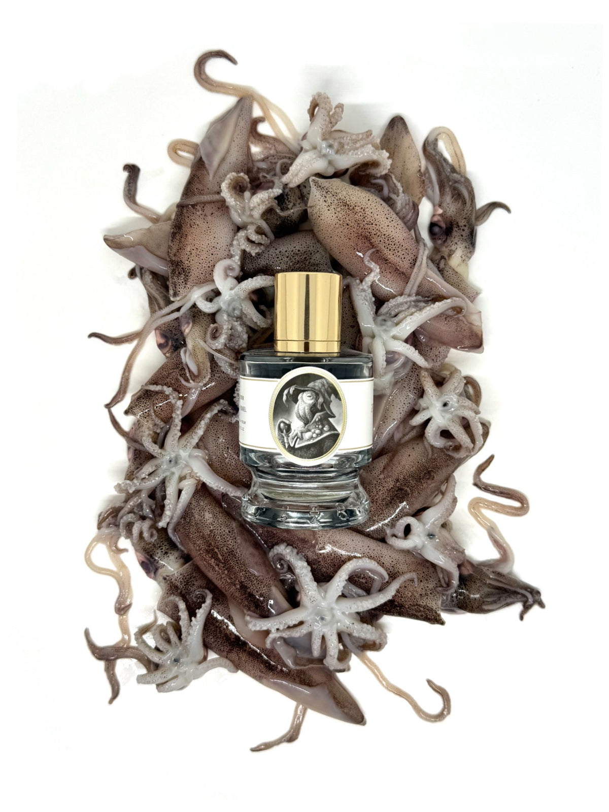 Zoologist Squid extrait de parfum