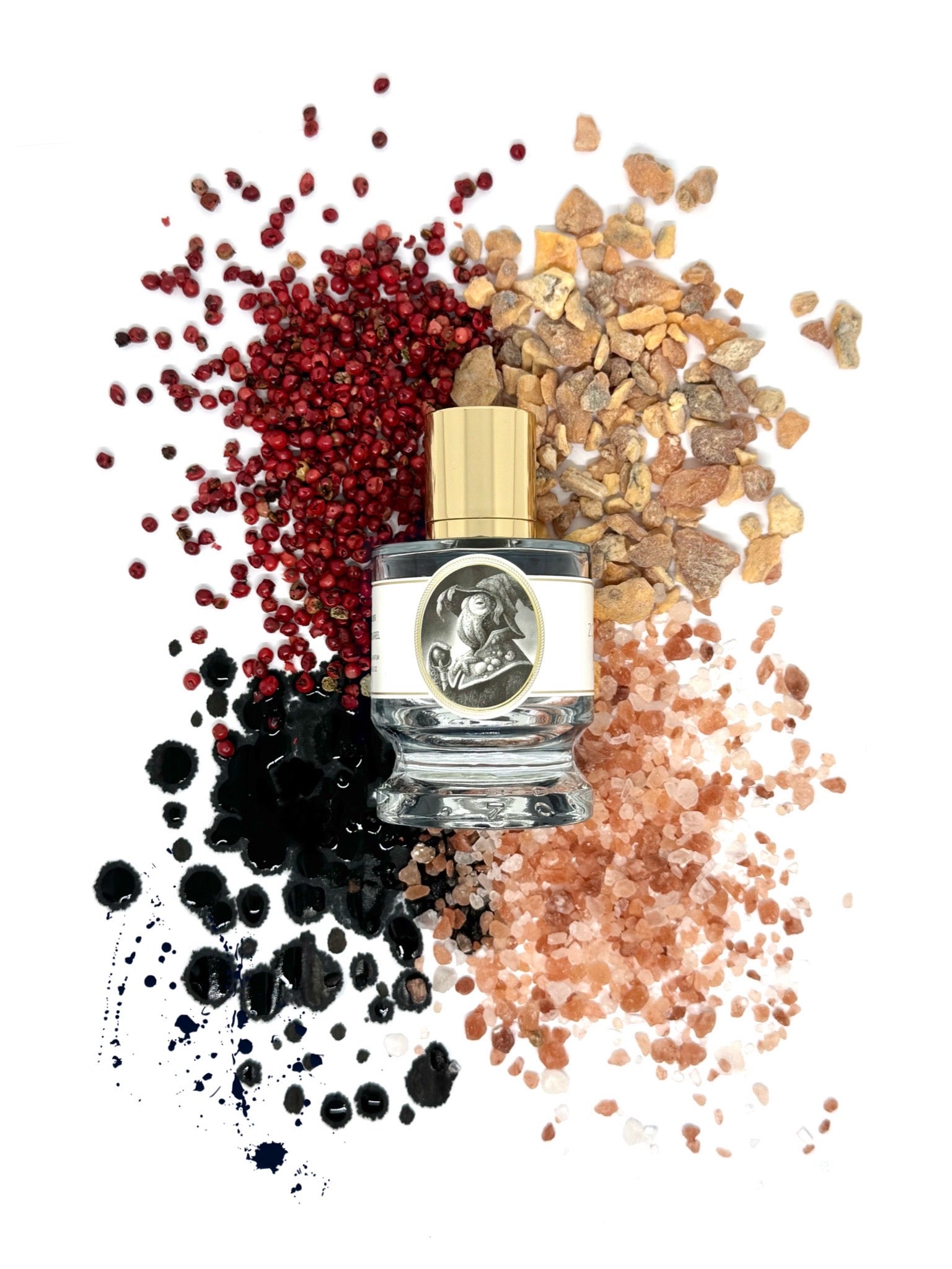 Zoologist Squid - 60ml extrait de parfum – Notes